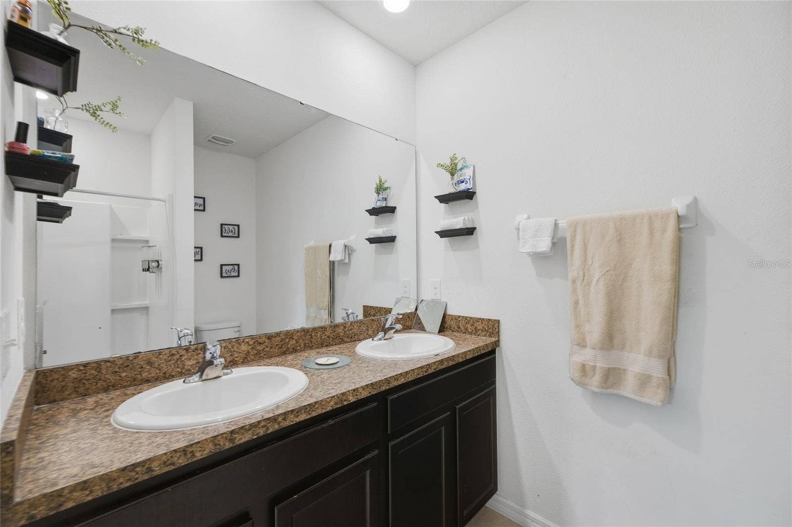 8204 PELICAN REED CIRCLE, Wesley Chapel, FL 33545
