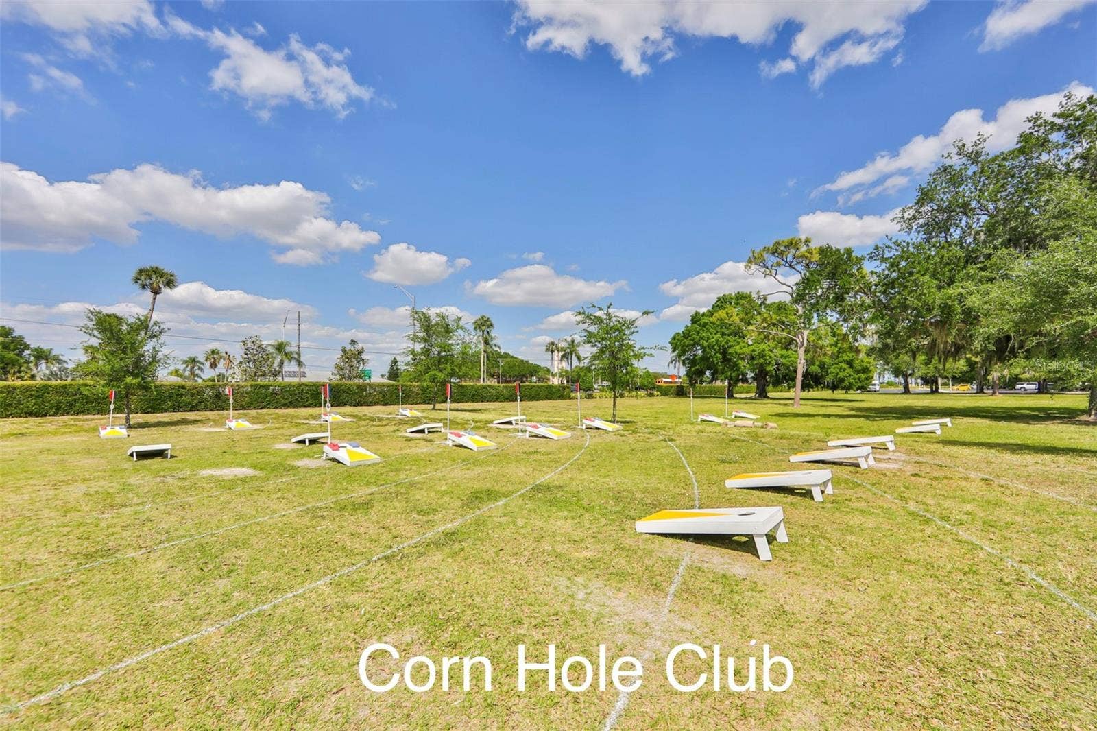 2333 BROOKFIELD GREENS CIRCLE, #45, Sun City Center, FL 33573