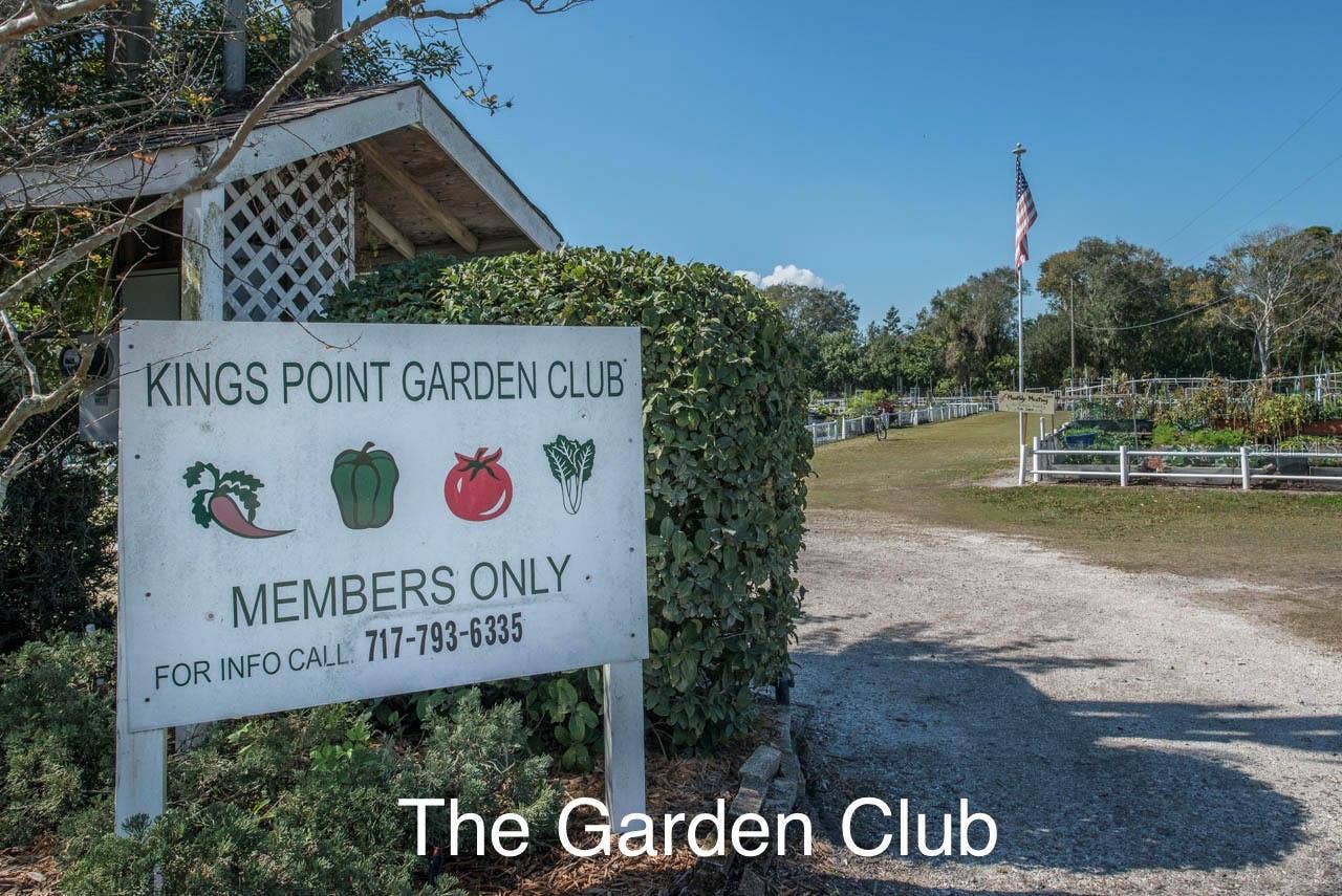 2333 BROOKFIELD GREENS CIRCLE, #45, Sun City Center, FL 33573
