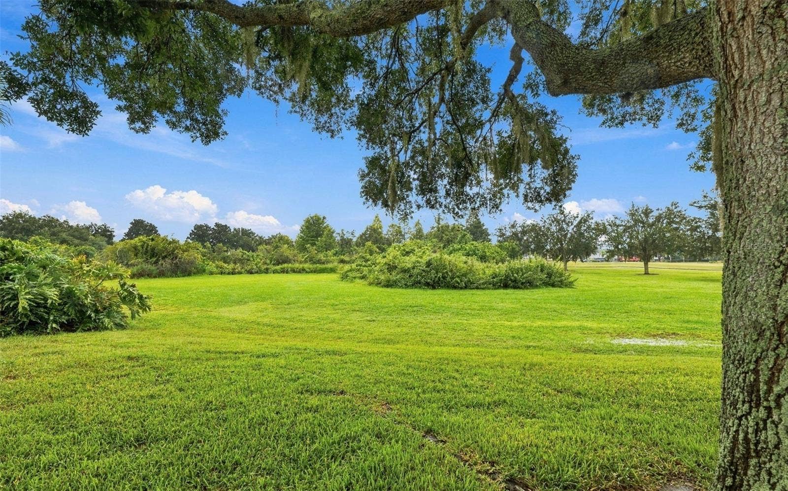 LARGE private backyard