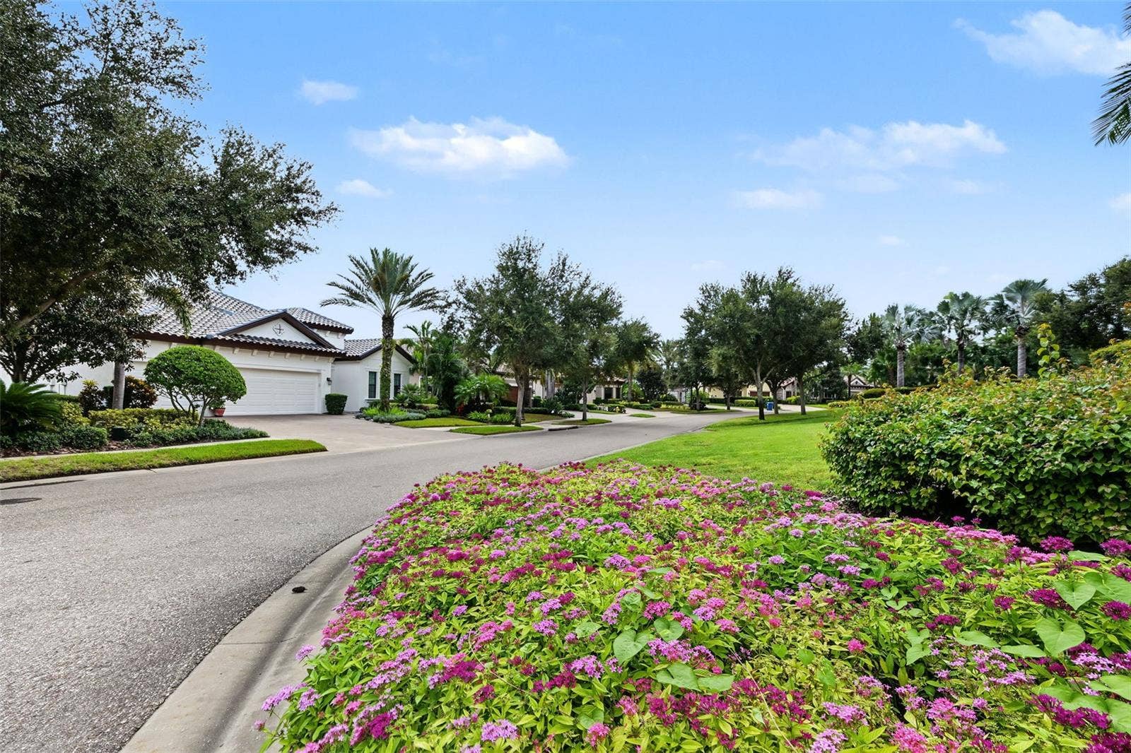 1366 VIA VERDI DRIVE, Palm Harbor, FL 34683 1366 VIA VERDI DRIVE, Palm Harbor, FL 34683