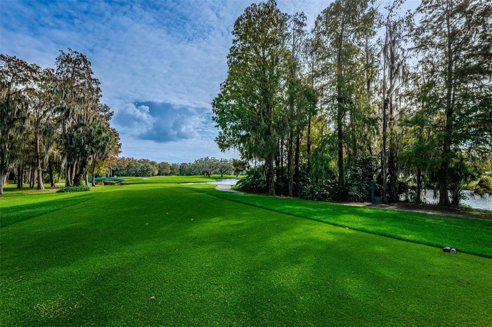 1366 VIA VERDI DRIVE, Palm Harbor, FL 34683 1366 VIA VERDI DRIVE, Palm Harbor, FL 34683