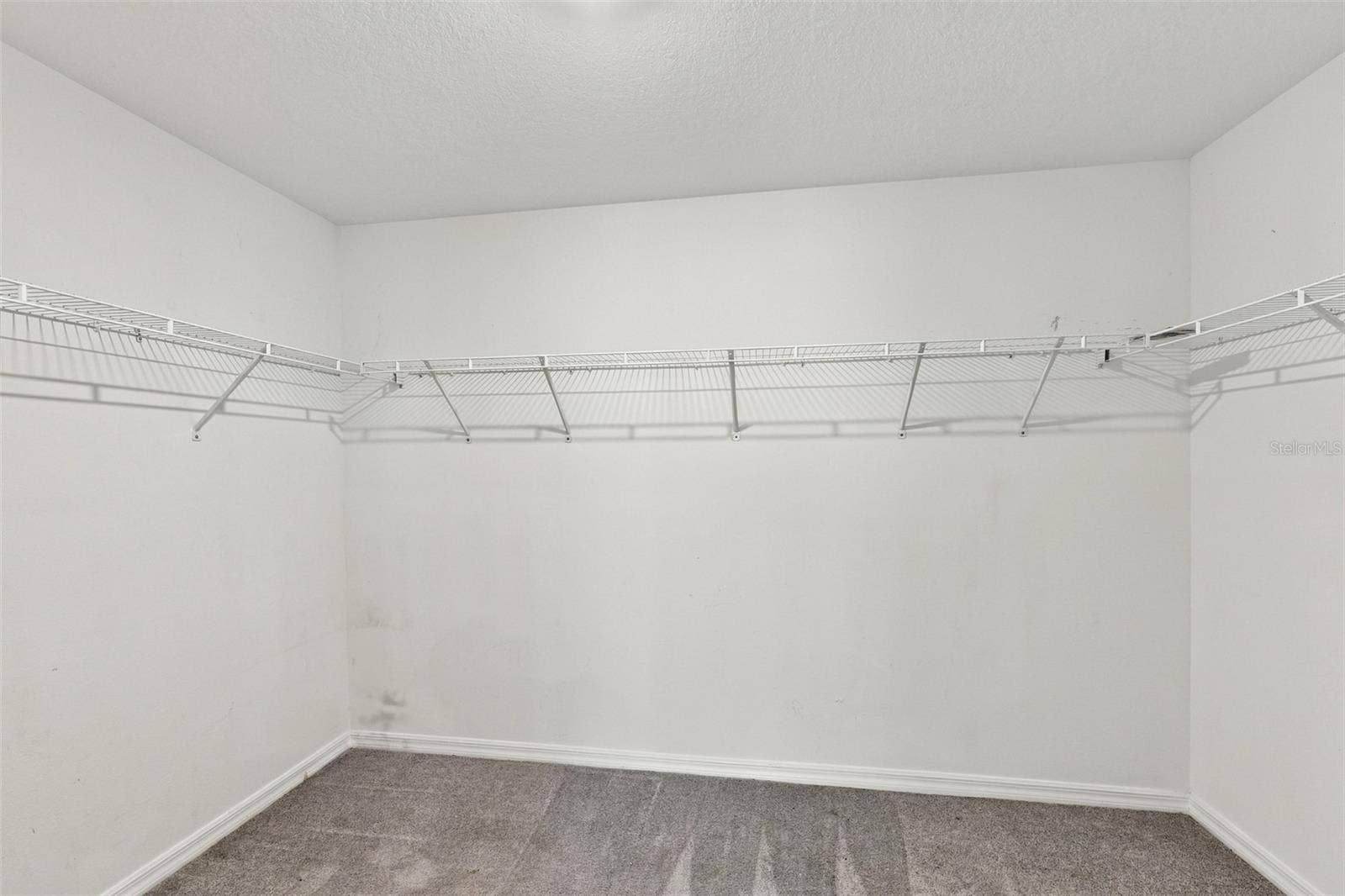 16681 CARLTON POND STREET, Wimauma, FL 33598