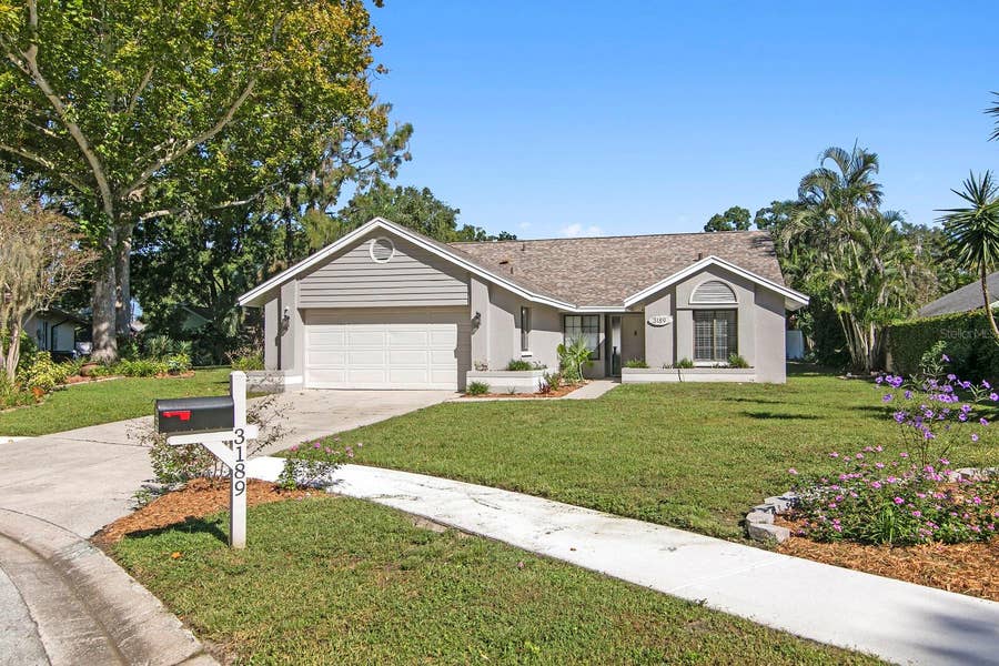 Property photo for 3189 PINE FOREST COURT, Palm Harbor, FL