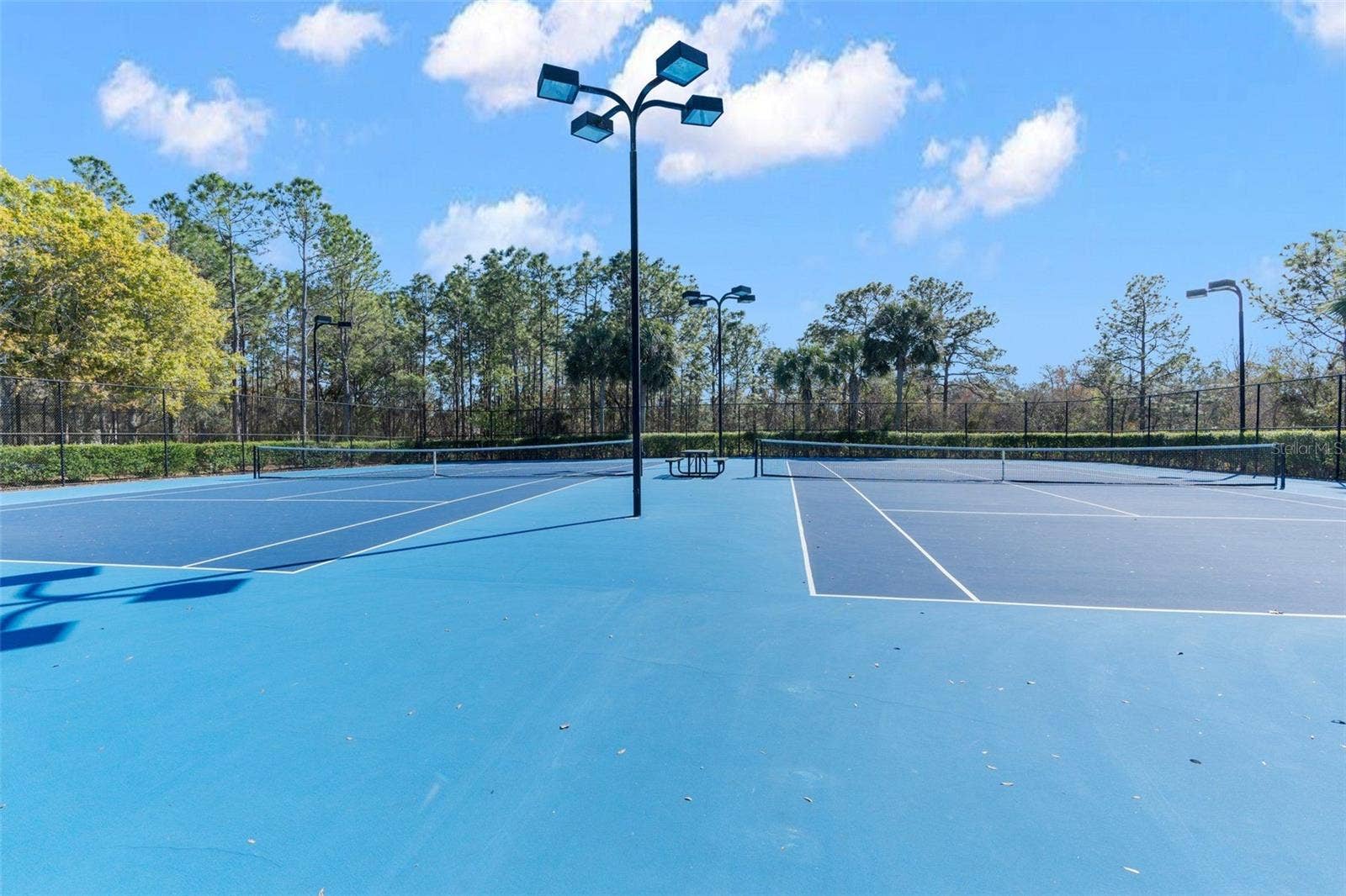 3392 AUTUMN AMBER DRIVE, Spring Hill, FL 34609 3392 AUTUMN AMBER DRIVE, Spring Hill, FL 34609