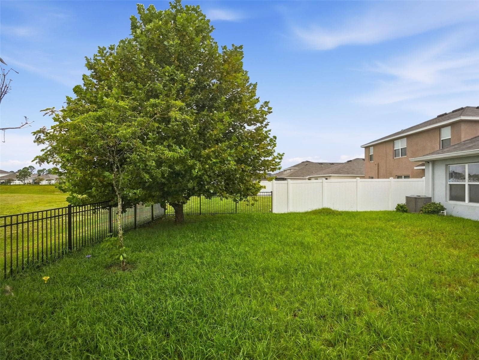 3392 AUTUMN AMBER DRIVE, Spring Hill, FL 34609 Back Yard