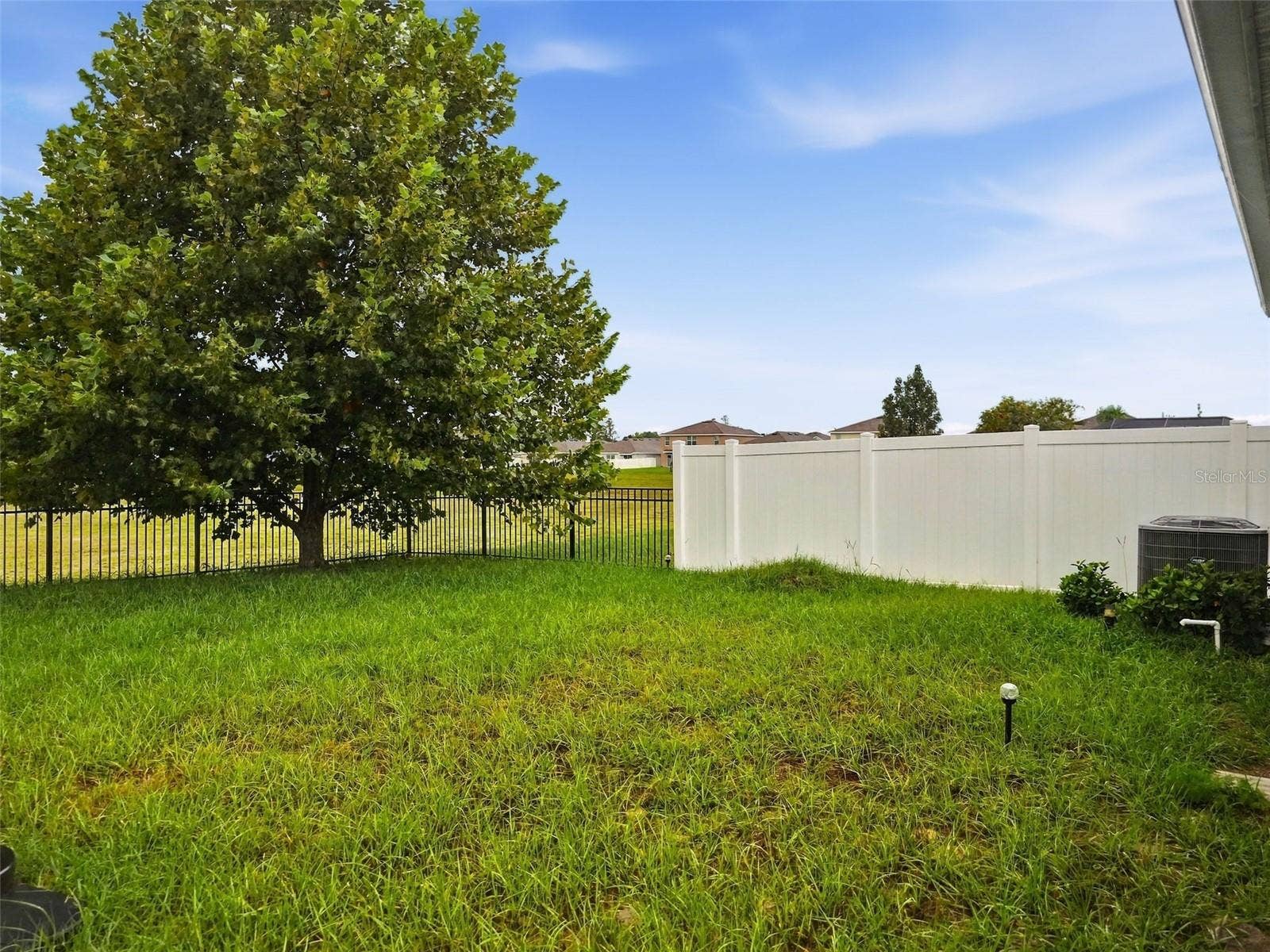 3392 AUTUMN AMBER DRIVE, Spring Hill, FL 34609 Back Yard
