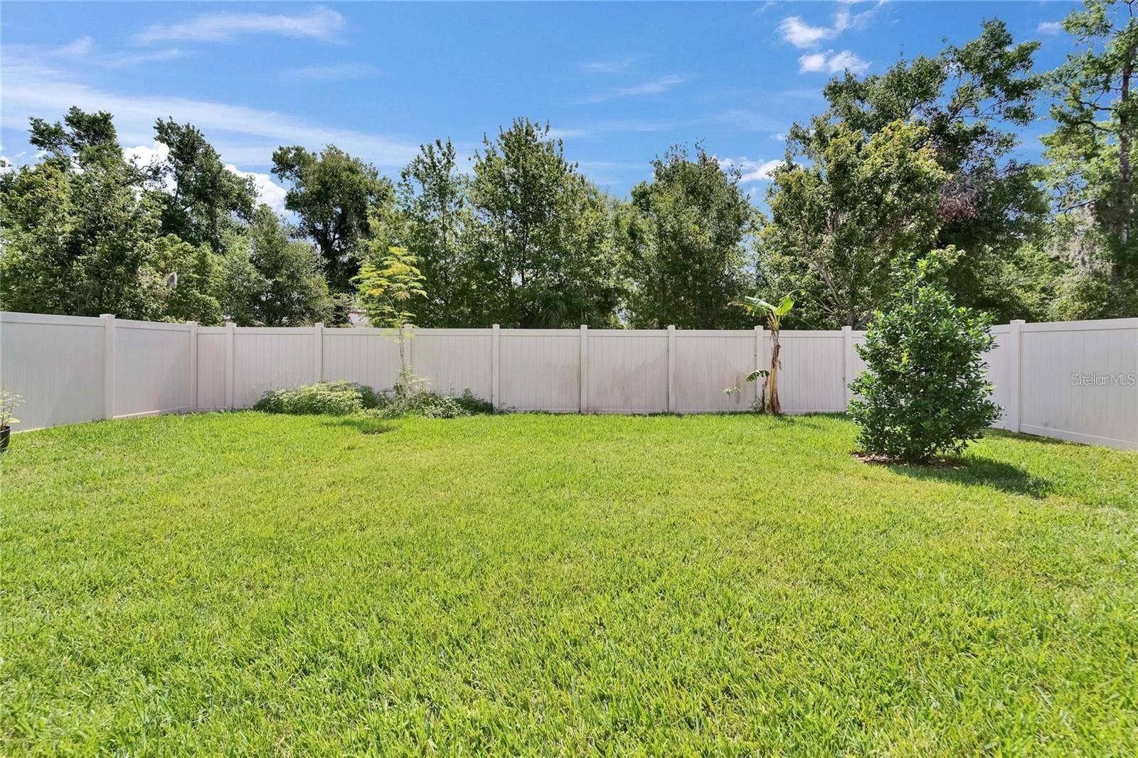 6658 DEVLIN LANE, Wesley Chapel, FL 33545 6658 DEVLIN LANE, Wesley Chapel, FL 33545