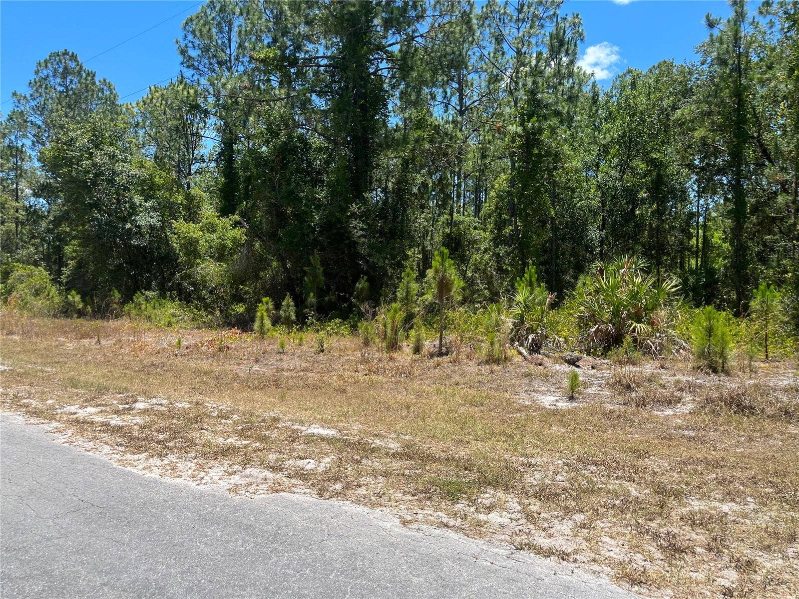 918 JAPONICA DRIVE, Indian Lake Estates, FL 33855 918 JAPONICA DRIVE, Indian Lake Estates, FL 33855