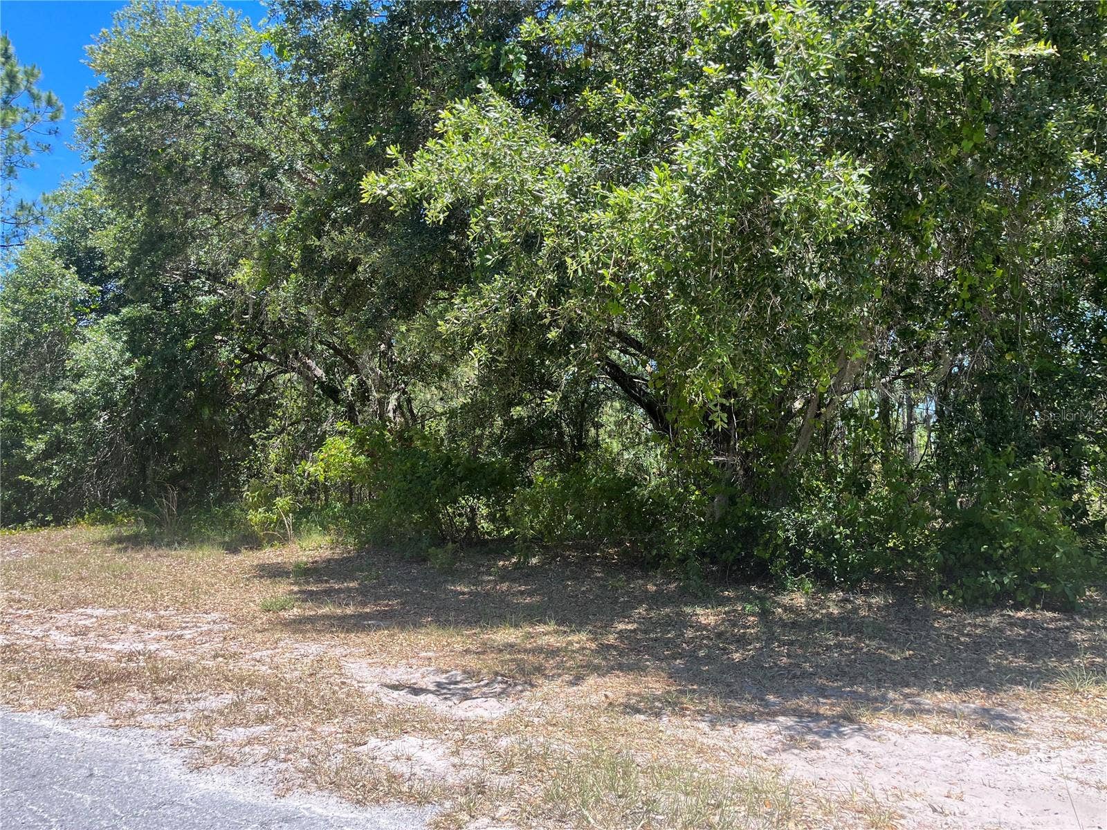 918 JAPONICA DRIVE, Indian Lake Estates, FL 33855 918 JAPONICA DRIVE, Indian Lake Estates, FL 33855