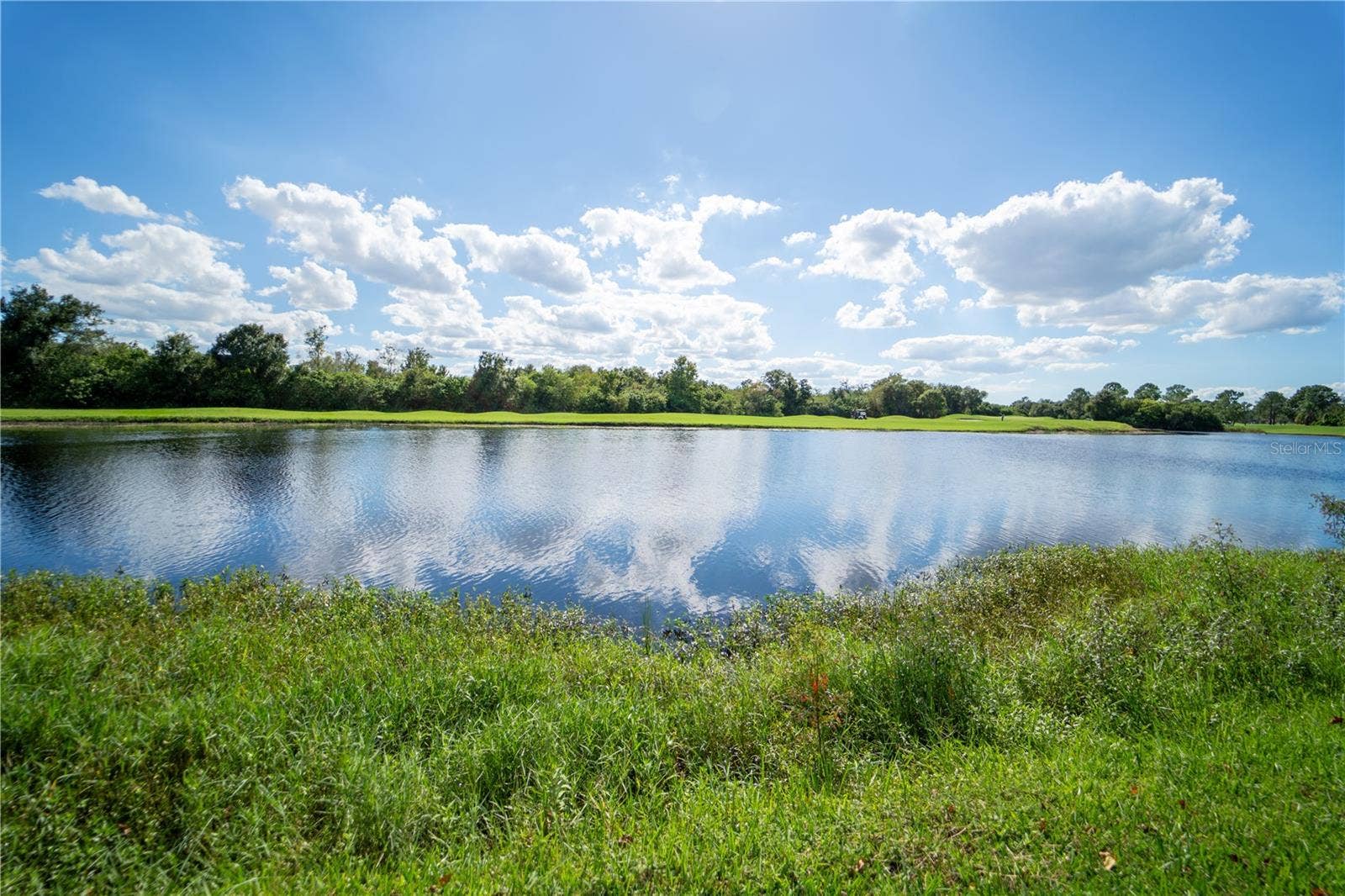 13023 SAINT FILAGREE DRIVE, Riverview, FL 33579 13023 SAINT FILAGREE DRIVE, Riverview, FL 33579