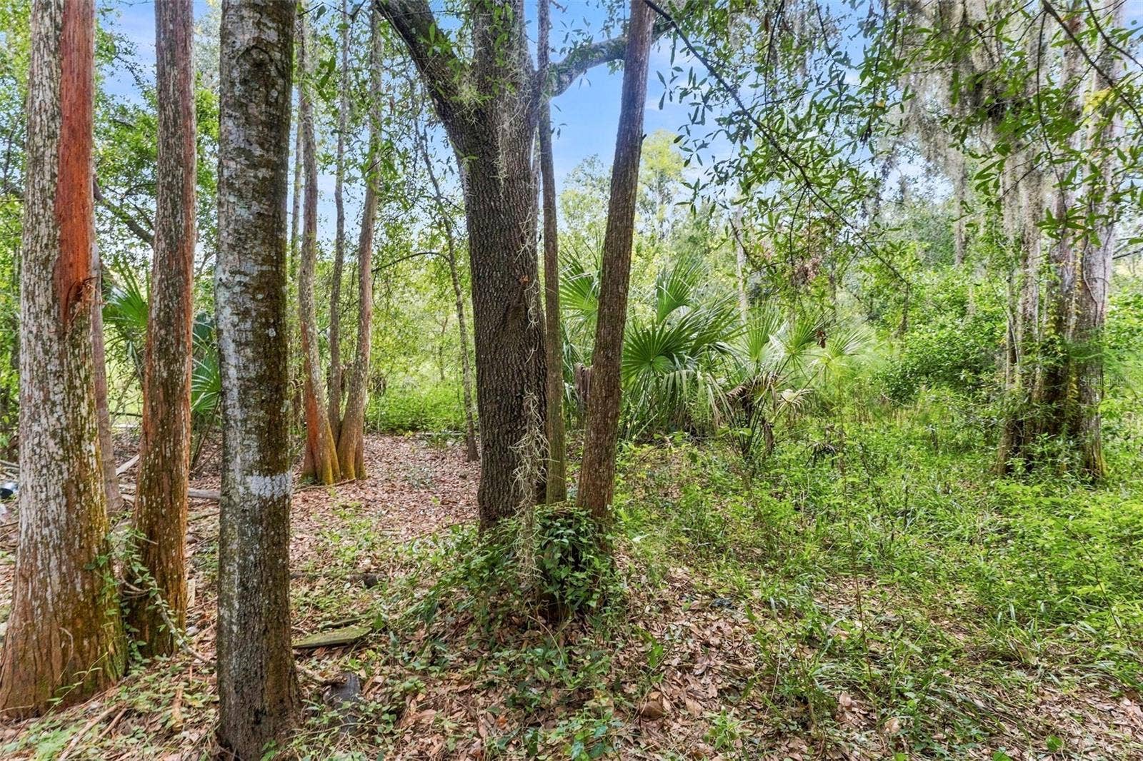 Privacy in the backyard