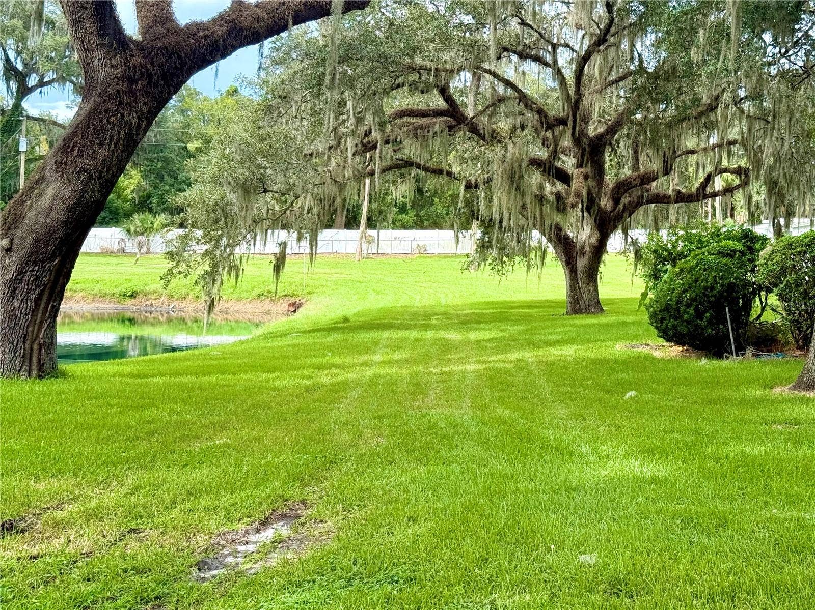 6035 RIDGEWOOD DRIVE, Zephyrhills, FL 33542 Sitting area