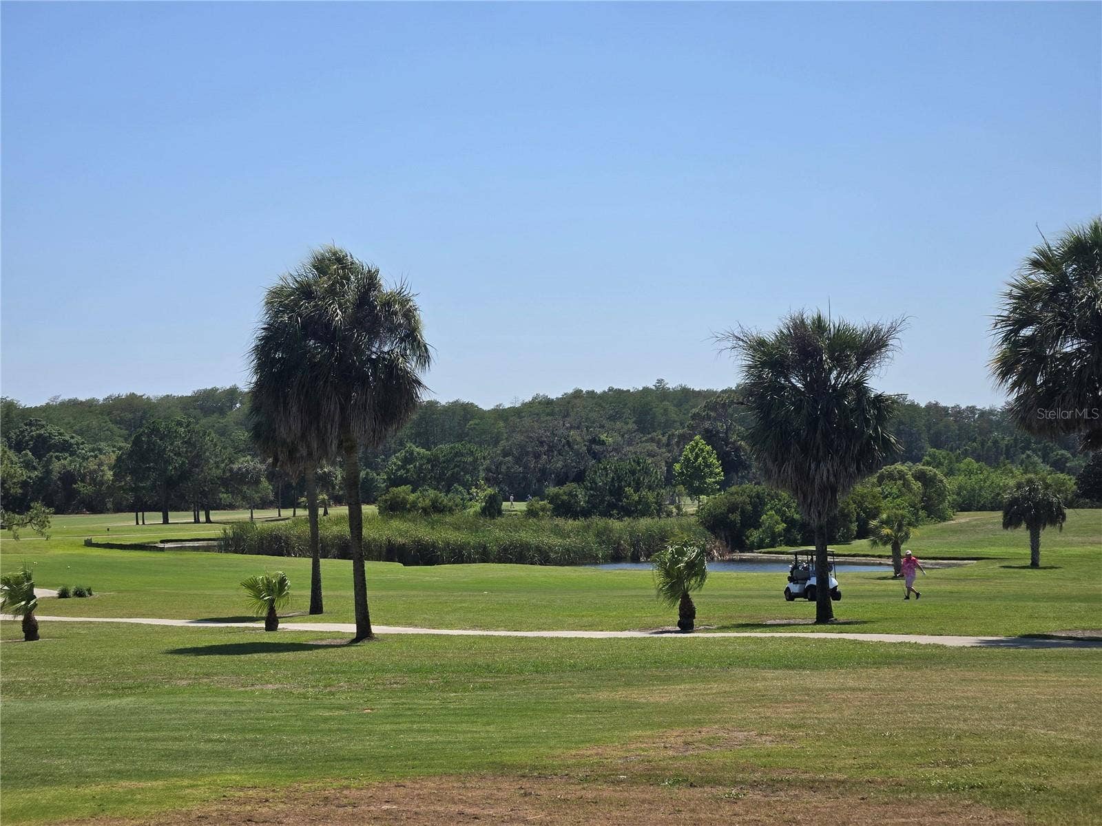 39820 US HIGHWAY 19 N, #160, Tarpon Springs, FL 34689 39820 US HIGHWAY 19 N, #160, Tarpon Springs, FL 34689