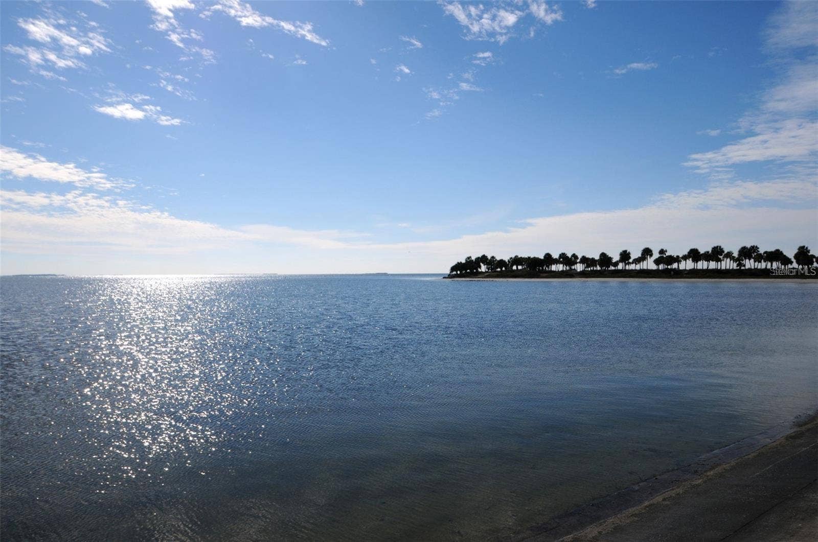 39820 US HIGHWAY 19 N, #160, Tarpon Springs, FL 34689 39820 US HIGHWAY 19 N, #160, Tarpon Springs, FL 34689