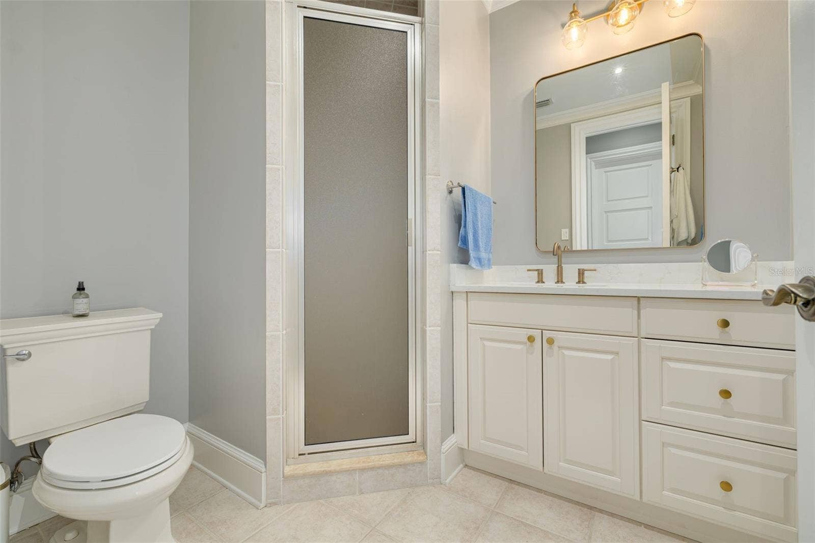 16203 SENTRY WOODS COURT, Odessa, FL 33556 16203 SENTRY WOODS COURT, Odessa, FL 33556