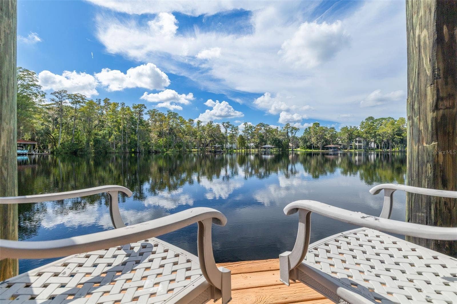 16203 SENTRY WOODS COURT, Odessa, FL 33556 16203 SENTRY WOODS COURT, Odessa, FL 33556