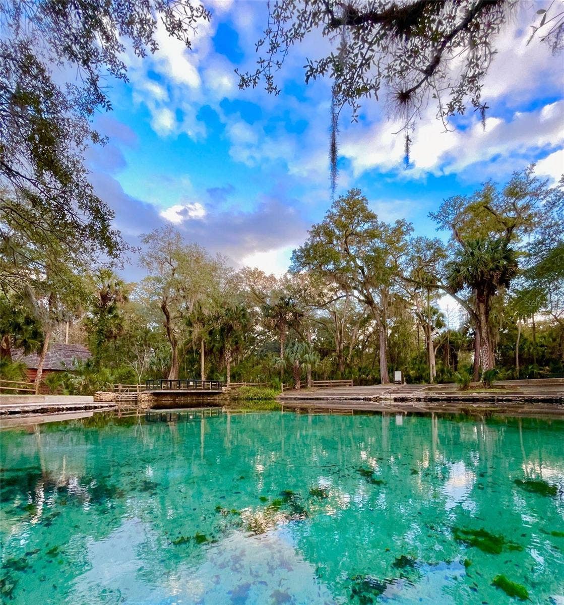 5686 E HIGHWAY 316, Citra, FL 32113 5686 E HIGHWAY 316, Citra, FL 32113