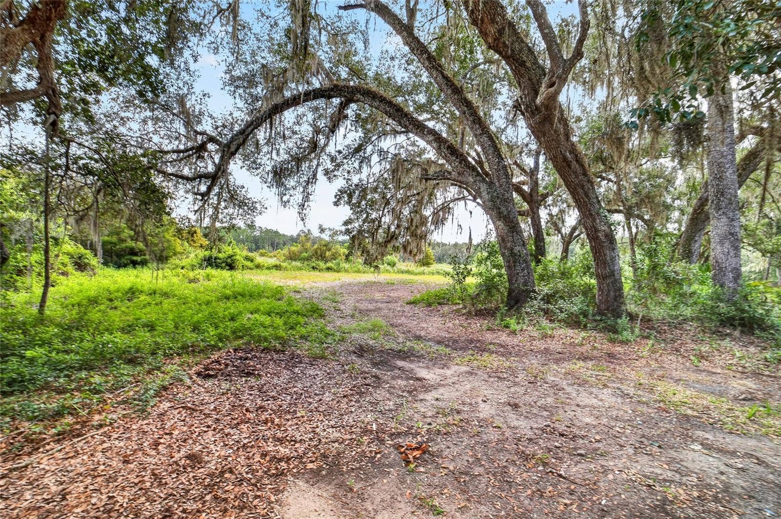 5686 E HIGHWAY 316, Citra, FL 32113 5686 E HIGHWAY 316, Citra, FL 32113
