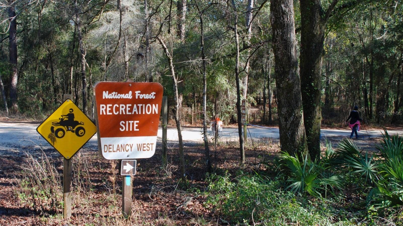 5686 E HIGHWAY 316, Citra, FL 32113 5686 E HIGHWAY 316, Citra, FL 32113