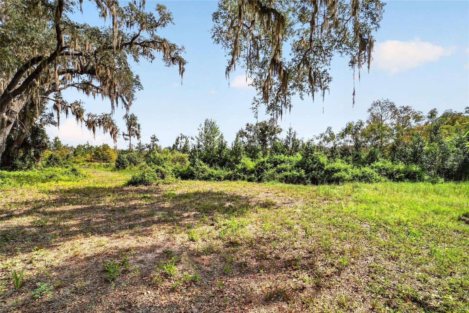5686 E HIGHWAY 316, Citra, FL 32113 5686 E HIGHWAY 316, Citra, FL 32113