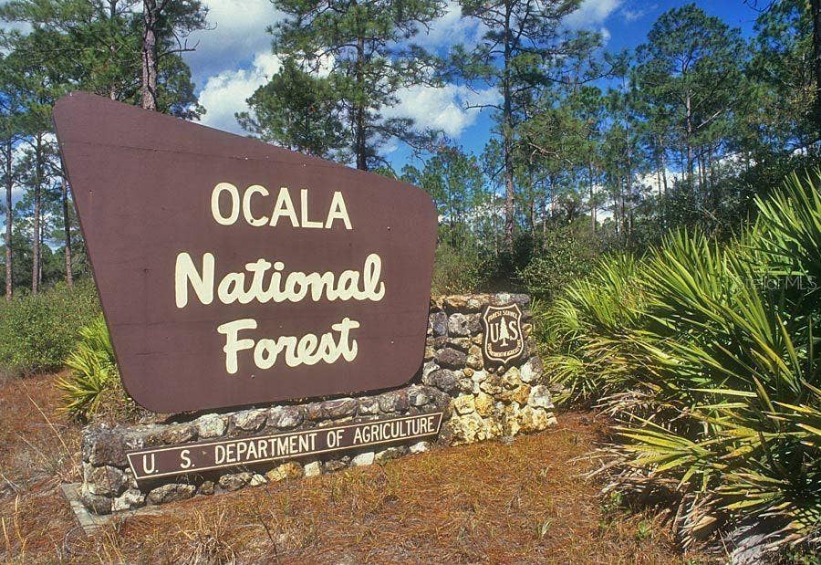5686 E HIGHWAY 316, Citra, FL 32113 5686 E HIGHWAY 316, Citra, FL 32113