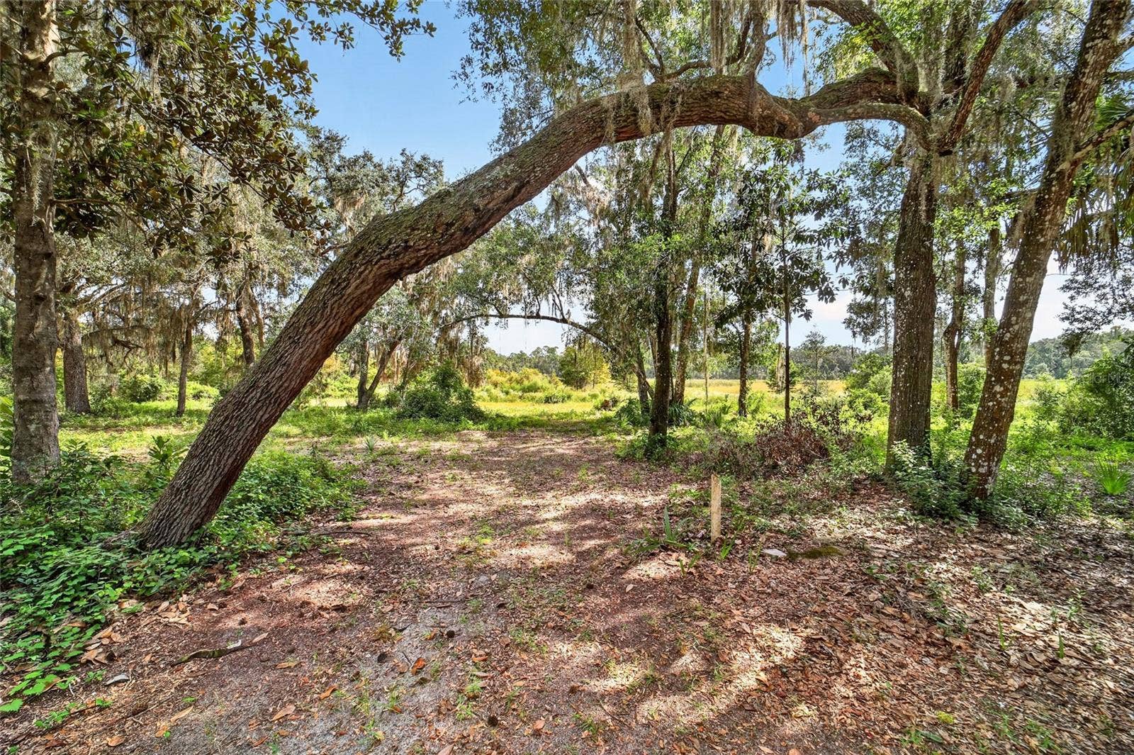 5686 E HIGHWAY 316, Citra, FL 32113 5686 E HIGHWAY 316, Citra, FL 32113
