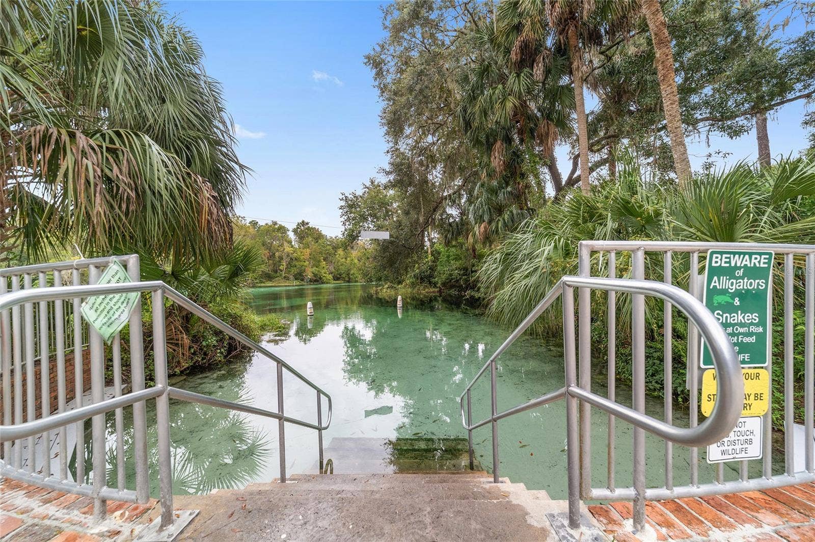 5686 E HIGHWAY 316, Citra, FL 32113 5686 E HIGHWAY 316, Citra, FL 32113