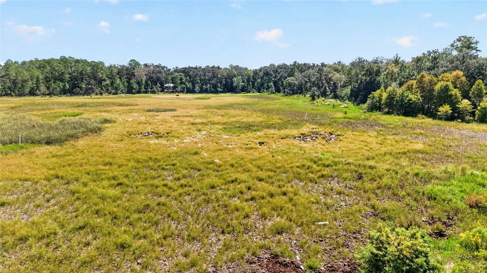 5686 E HIGHWAY 316, Citra, FL 32113 5686 E HIGHWAY 316, Citra, FL 32113