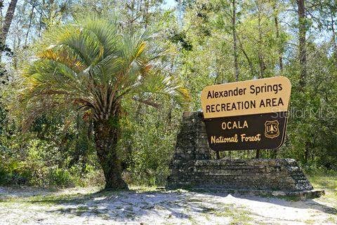 5686 E HIGHWAY 316, Citra, FL 32113 5686 E HIGHWAY 316, Citra, FL 32113