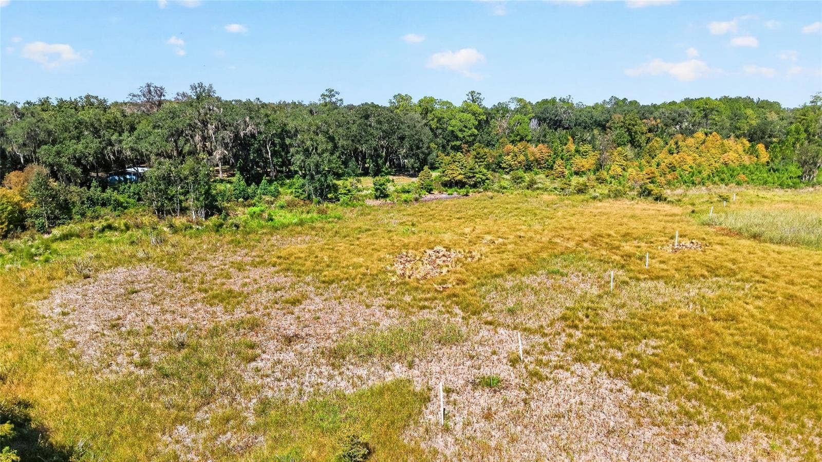 5686 E HIGHWAY 316, Citra, FL 32113 5686 E HIGHWAY 316, Citra, FL 32113