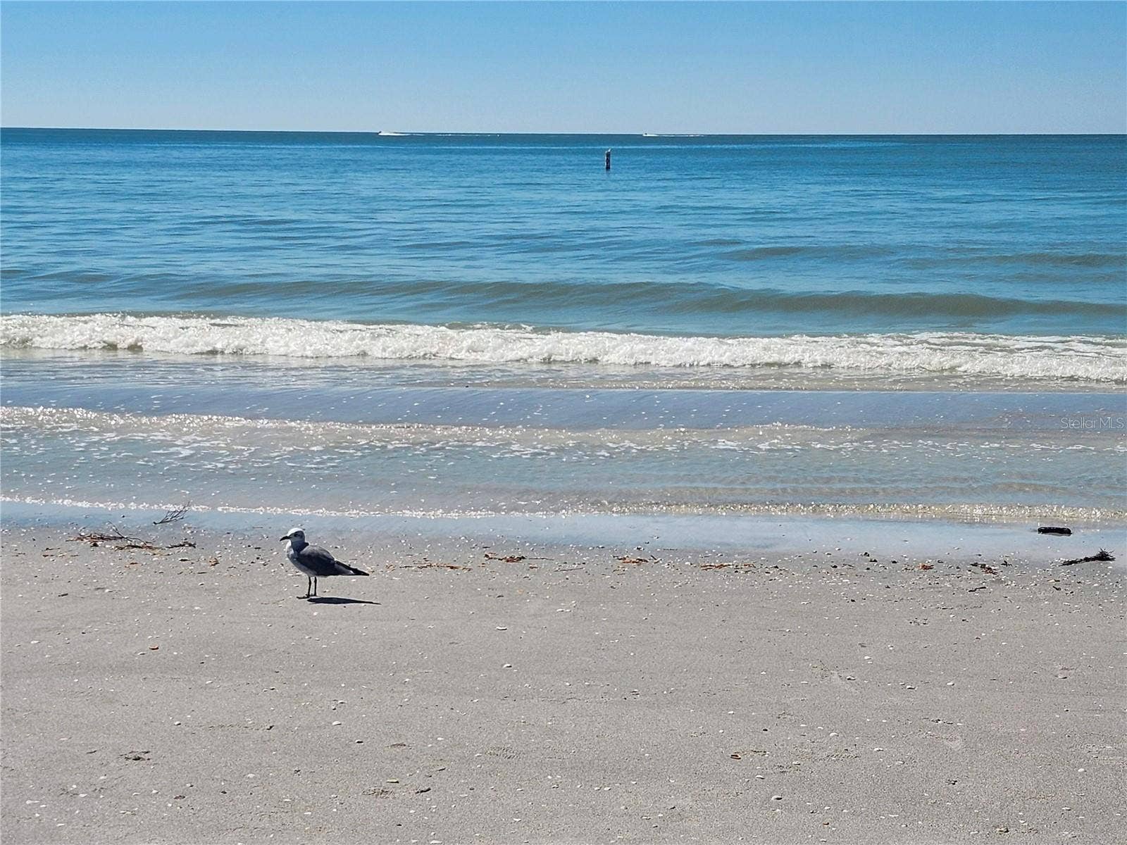 11201 80TH AVENUE, #201, Seminole, FL 33772 Beautiful Indian Rocks Beach