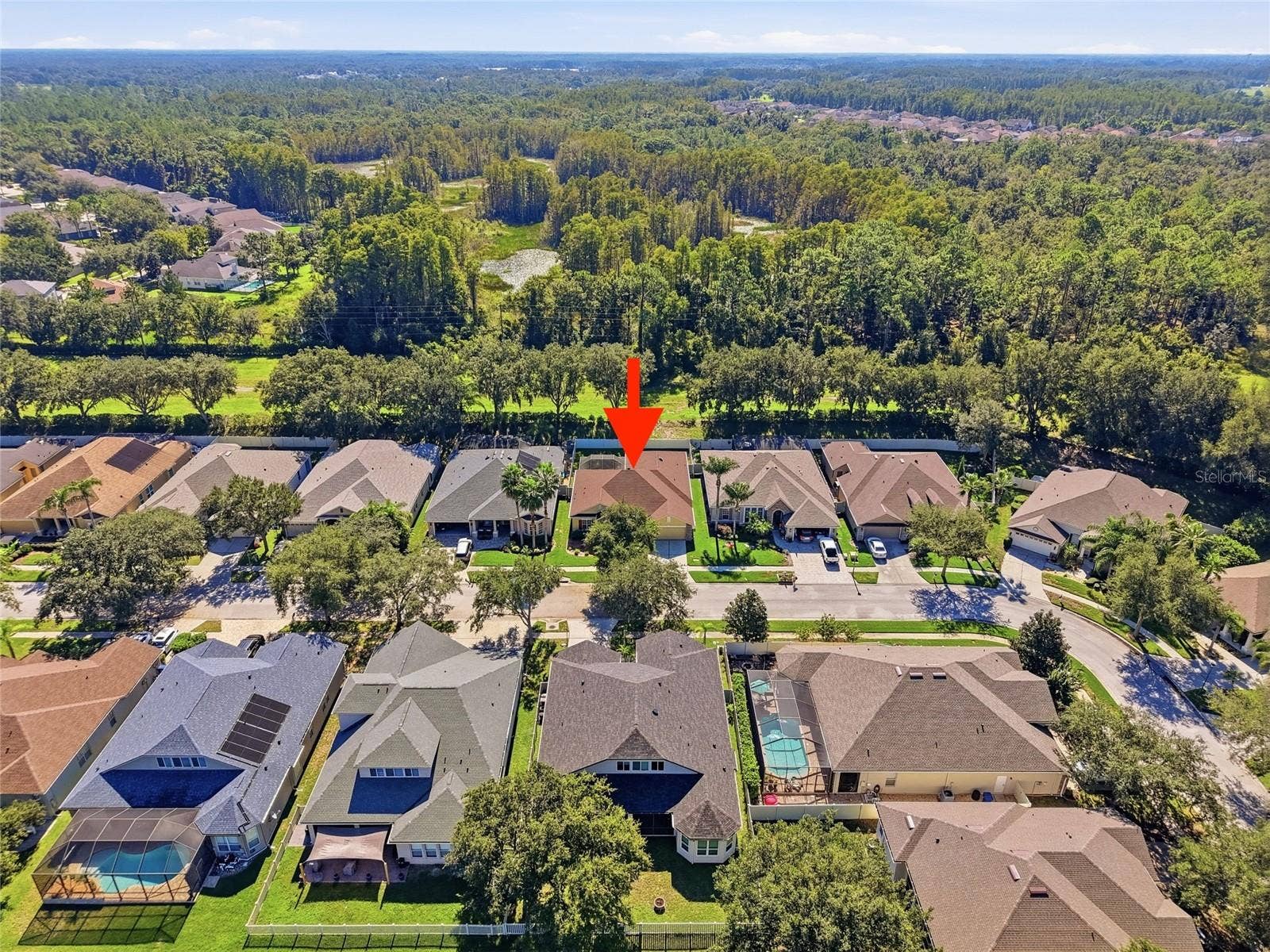 7137 DERWENT GLEN CIRCLE, Land O Lakes, FL 34637 7137 DERWENT GLEN CIRCLE, Land O Lakes, FL 34637