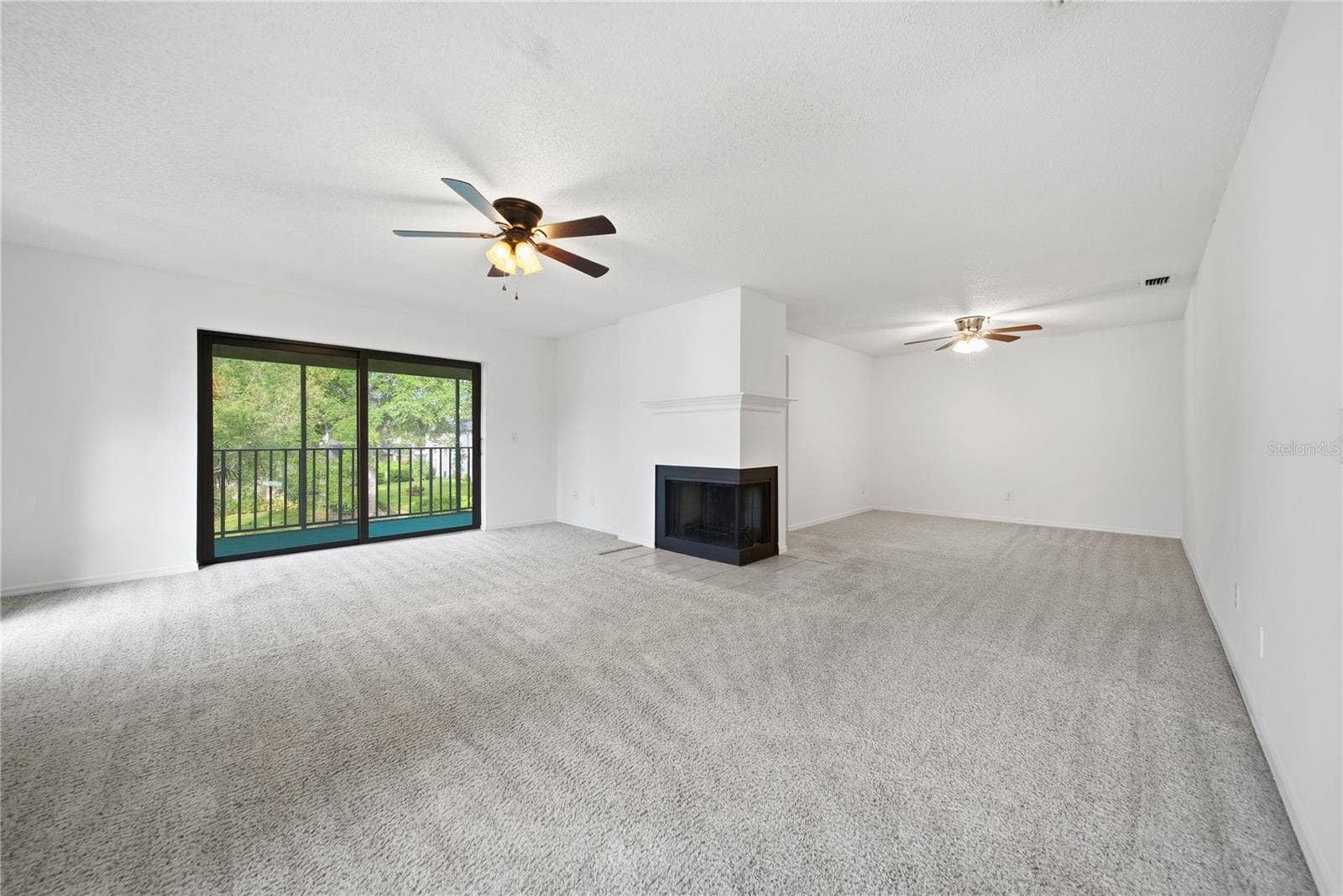 Living Room/ Dining Room