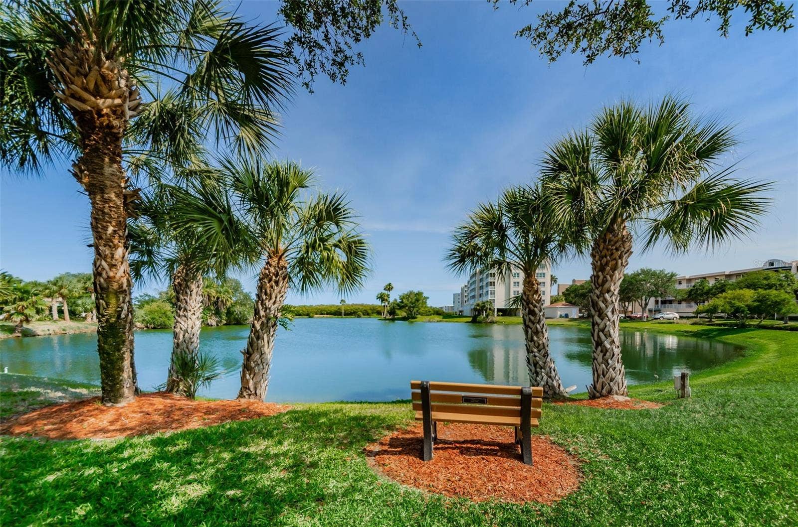 6450 SHORELINE DRIVE, #9203, Seminole, FL 33708 6450 SHORELINE DRIVE, #9203, Seminole, FL 33708