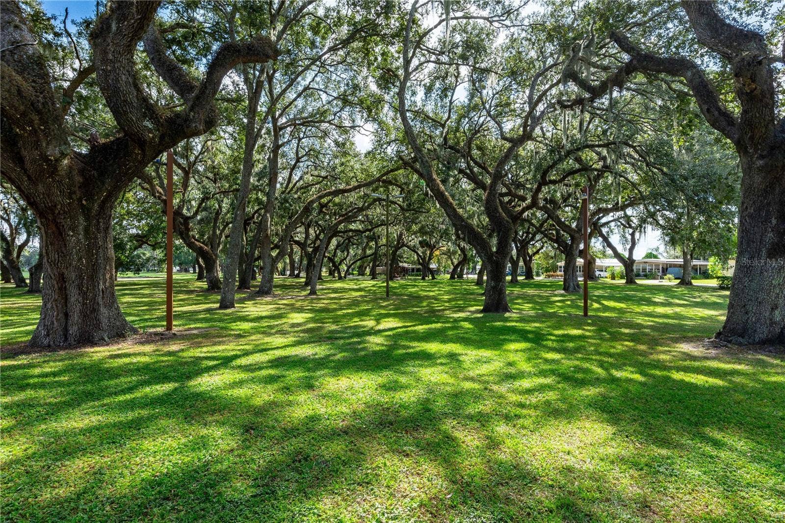 5352 PLANT STREET, Zephyrhills, FL 33542 Many oak trees.