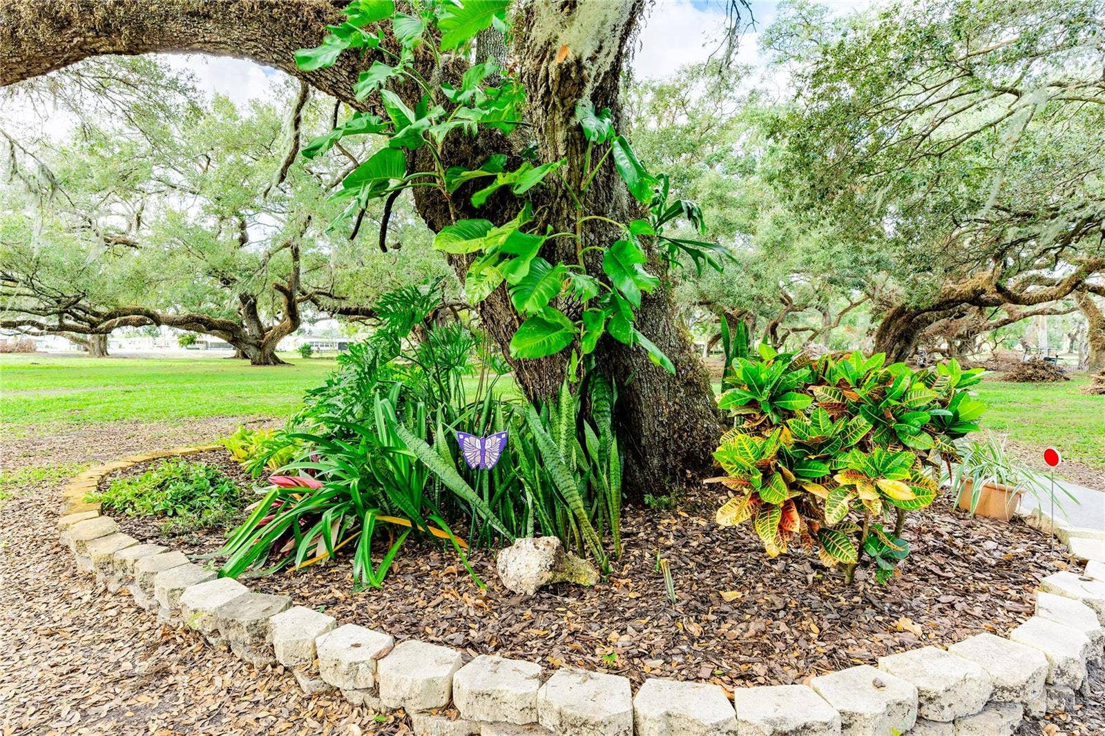 5352 PLANT STREET, Zephyrhills, FL 33542 Many community gardens.