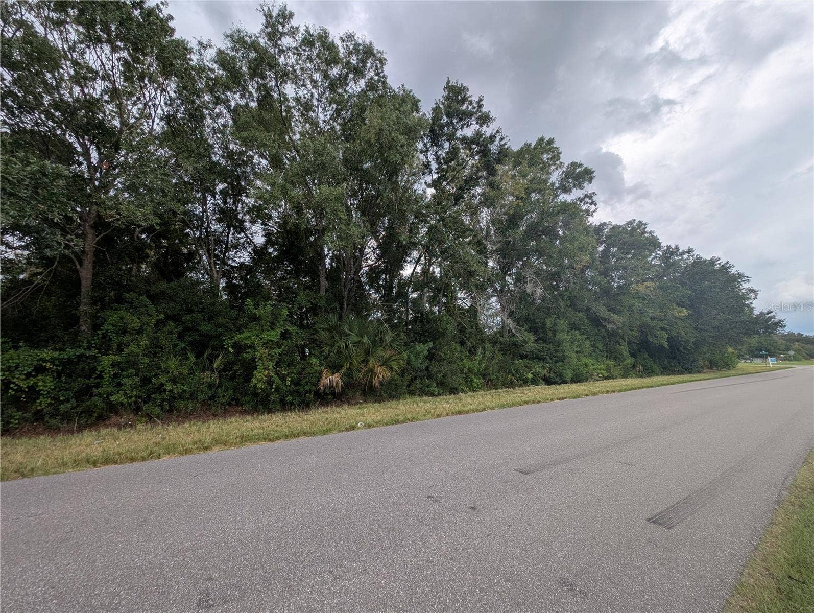 12111 GLENSHIRE DRIVE, Riverview, FL 33579 Side (Shelby)