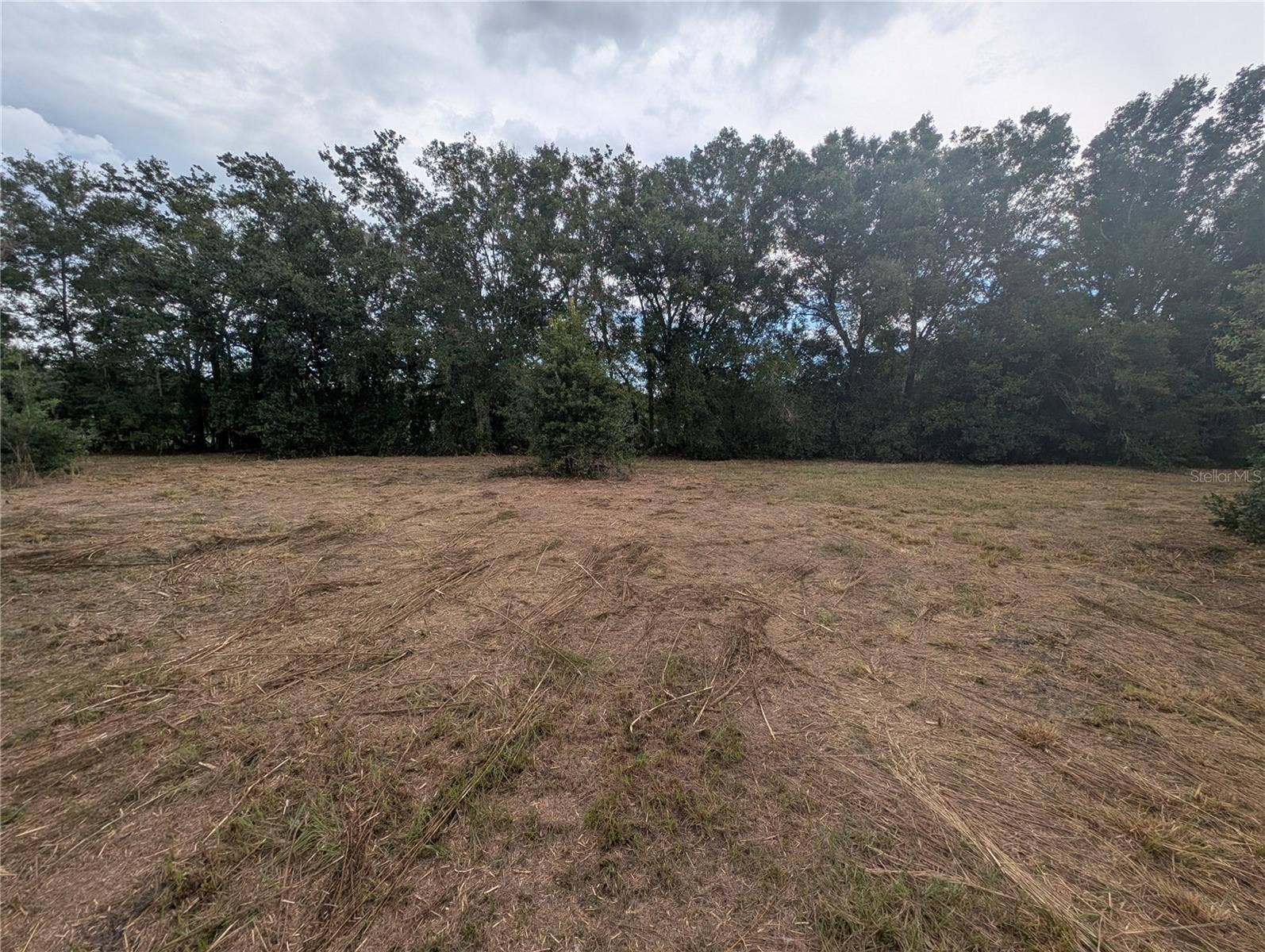 12111 GLENSHIRE DRIVE, Riverview, FL 33579 1.01 Acres