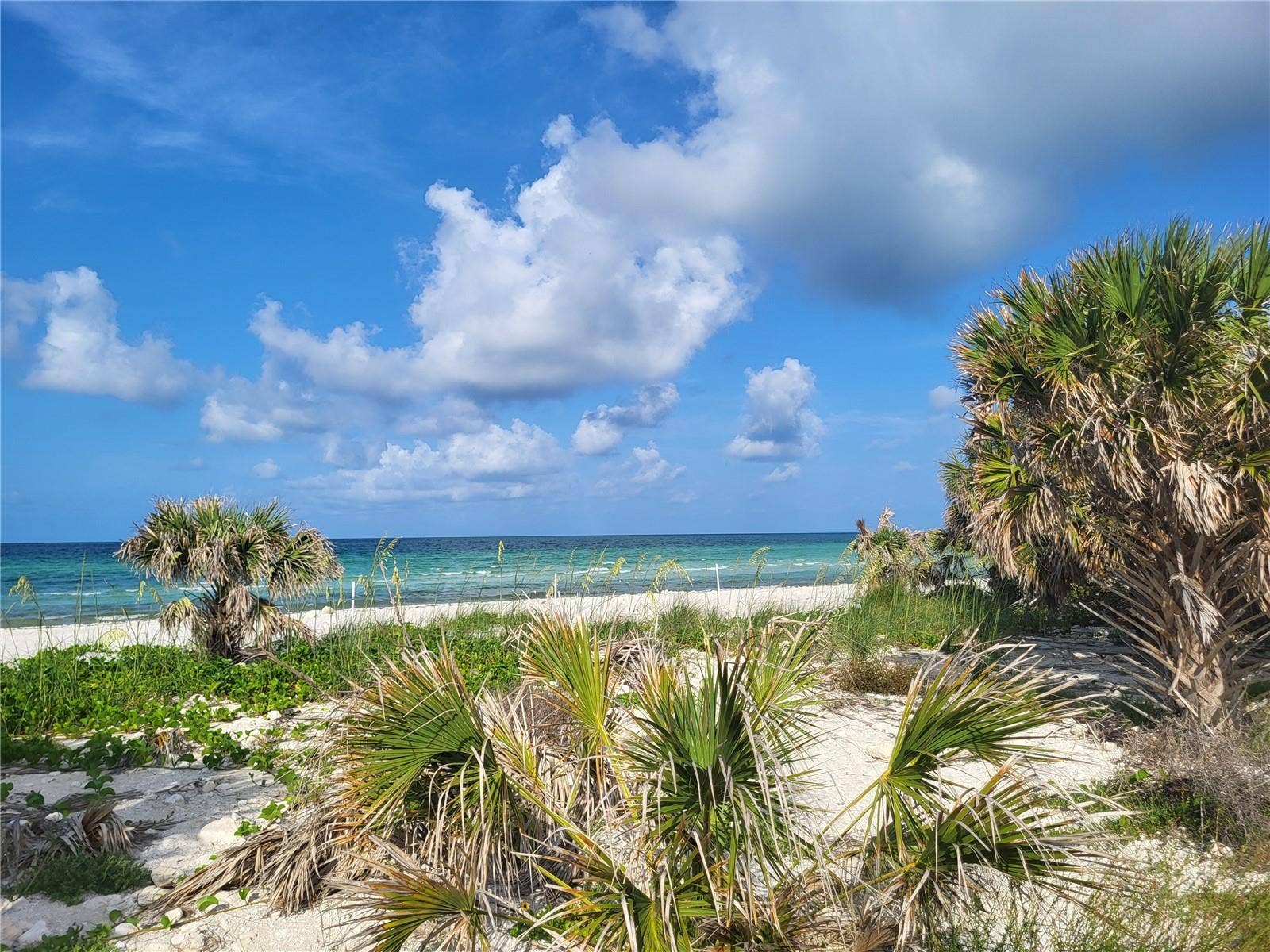 Honeymoon Island