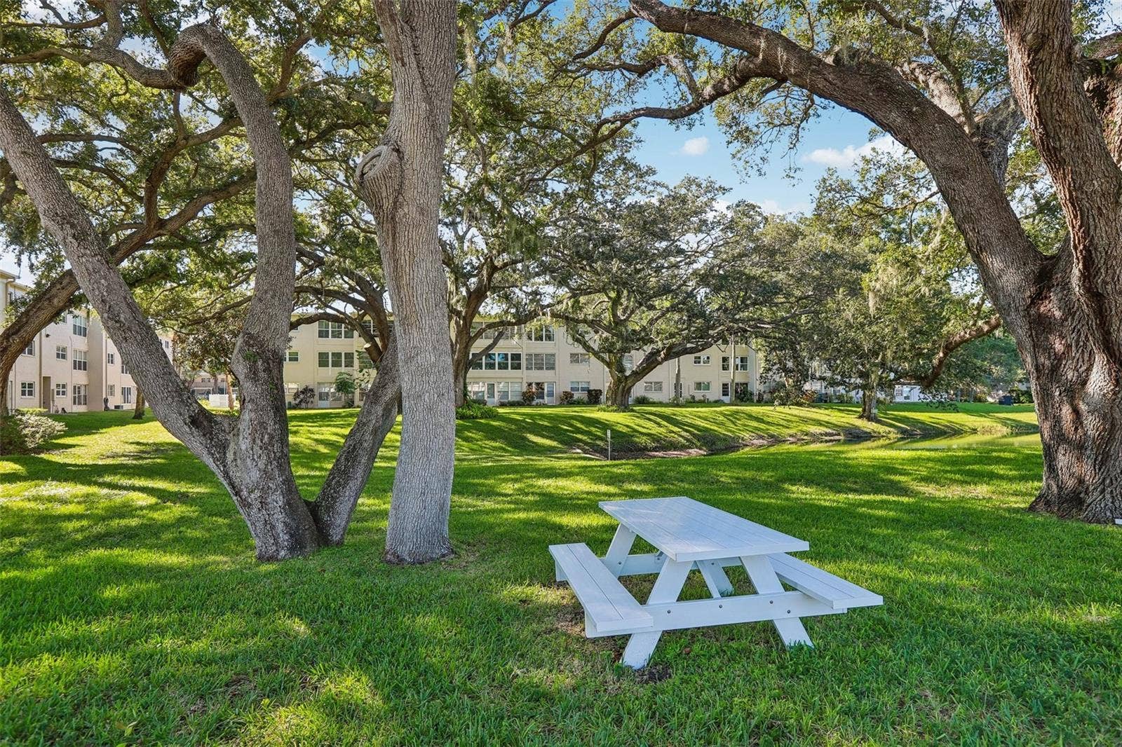 938 VIRGINIA STREET, #204, Dunedin, FL 34698 938 VIRGINIA STREET, #204, Dunedin, FL 34698
