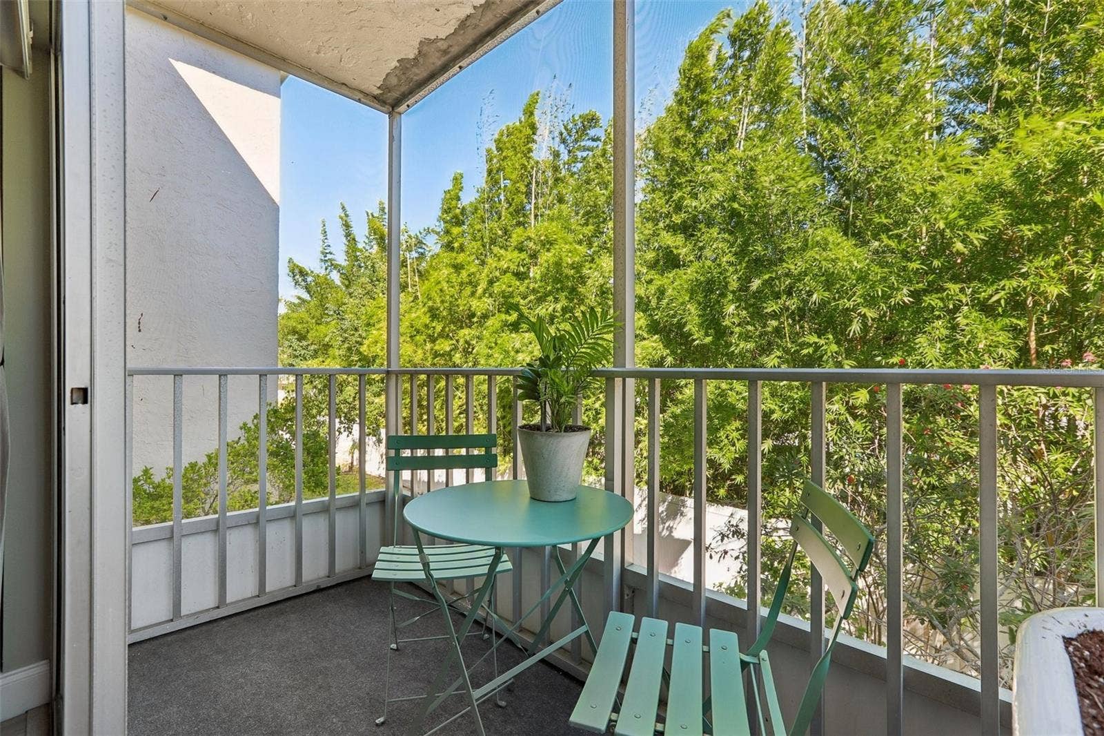 938 VIRGINIA STREET, #204, Dunedin, FL 34698 938 VIRGINIA STREET, #204, Dunedin, FL 34698