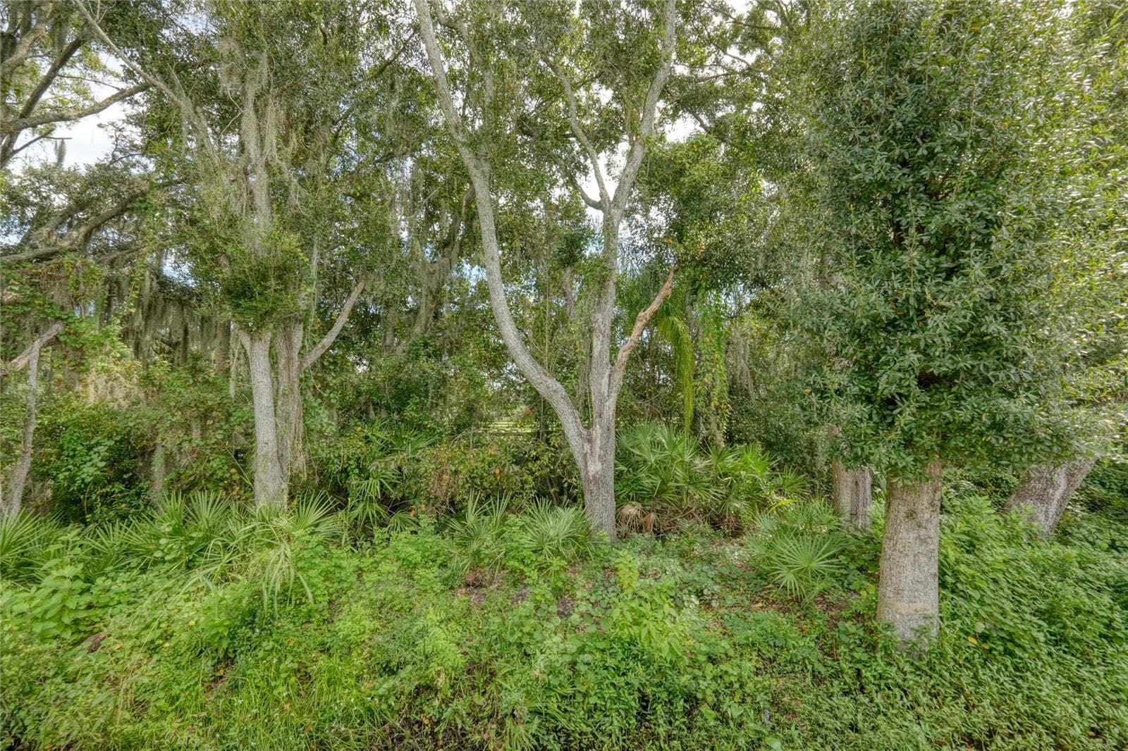 15819 MUIRFIELD DRIVE, Odessa, FL 33556 15819 MUIRFIELD DRIVE, Odessa, FL 33556