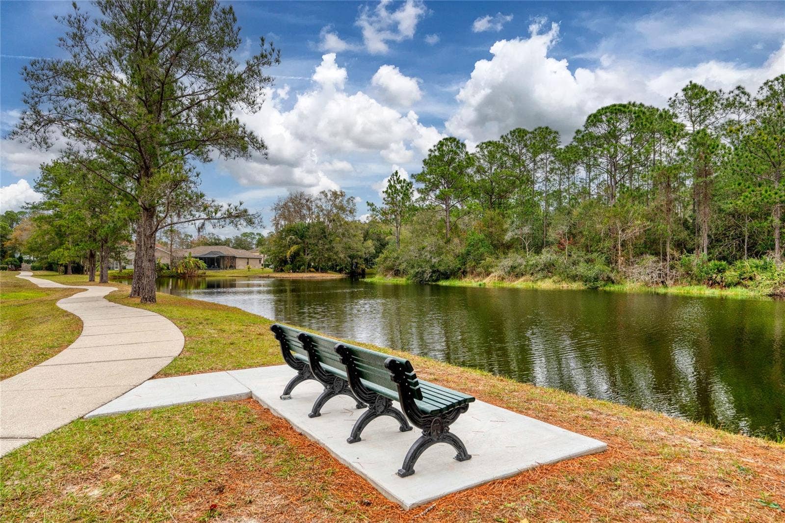 15819 MUIRFIELD DRIVE, Odessa, FL 33556 15819 MUIRFIELD DRIVE, Odessa, FL 33556