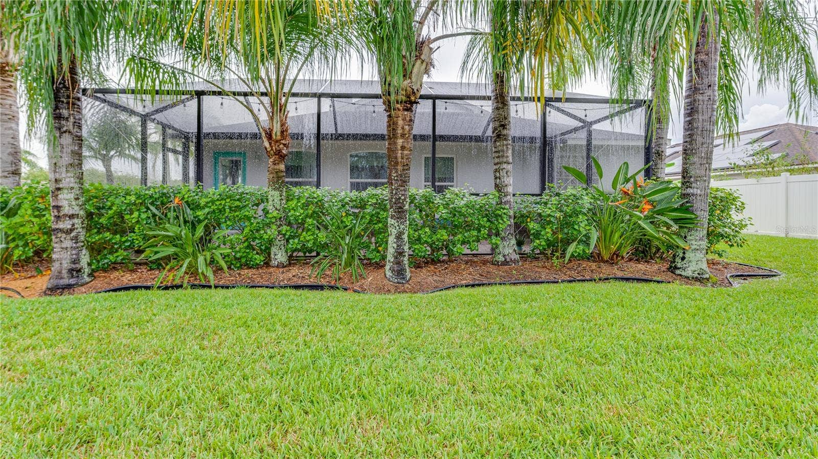 366 RAINFOREST COURT, Oldsmar, FL 34677