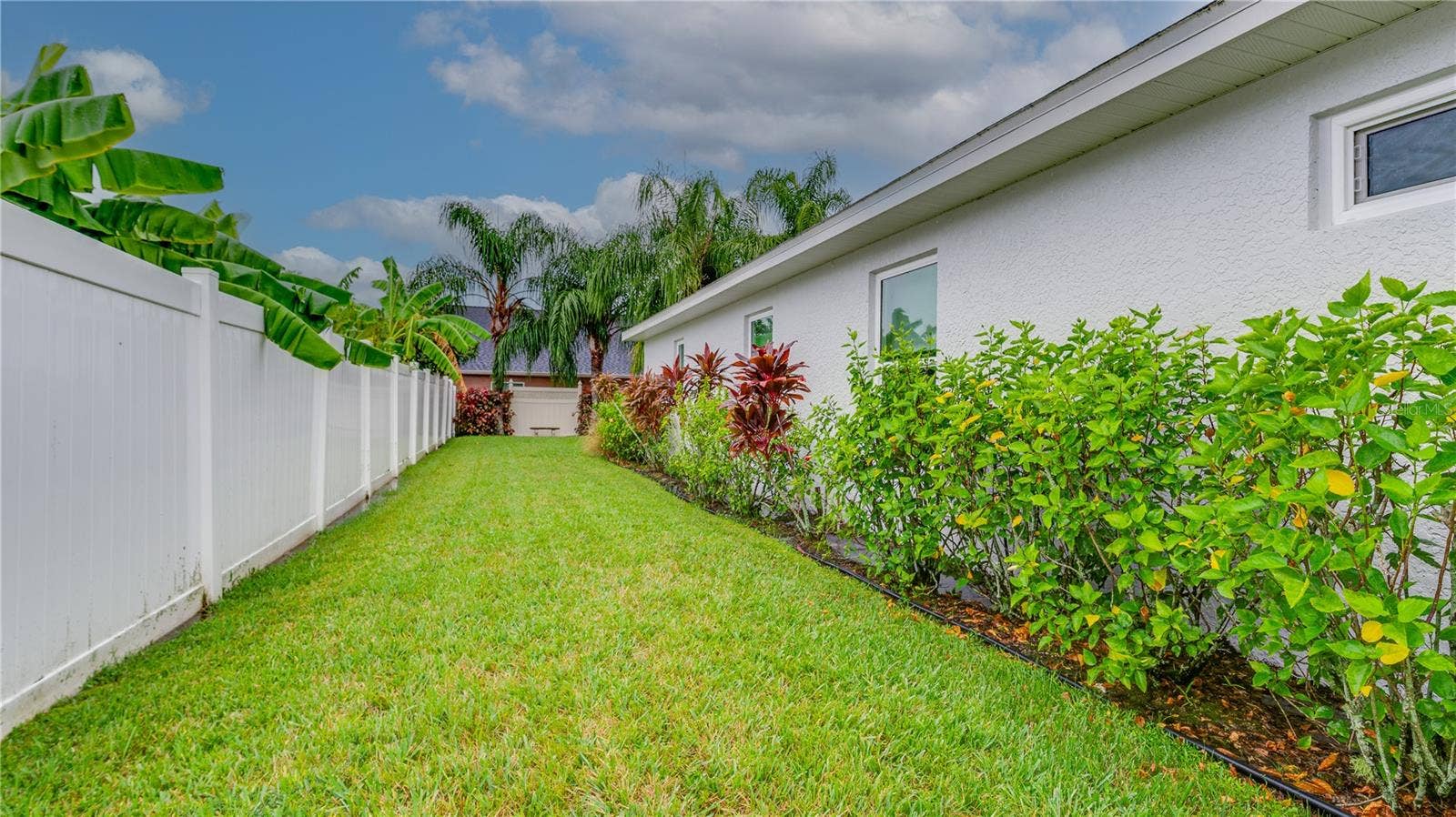 366 RAINFOREST COURT, Oldsmar, FL 34677