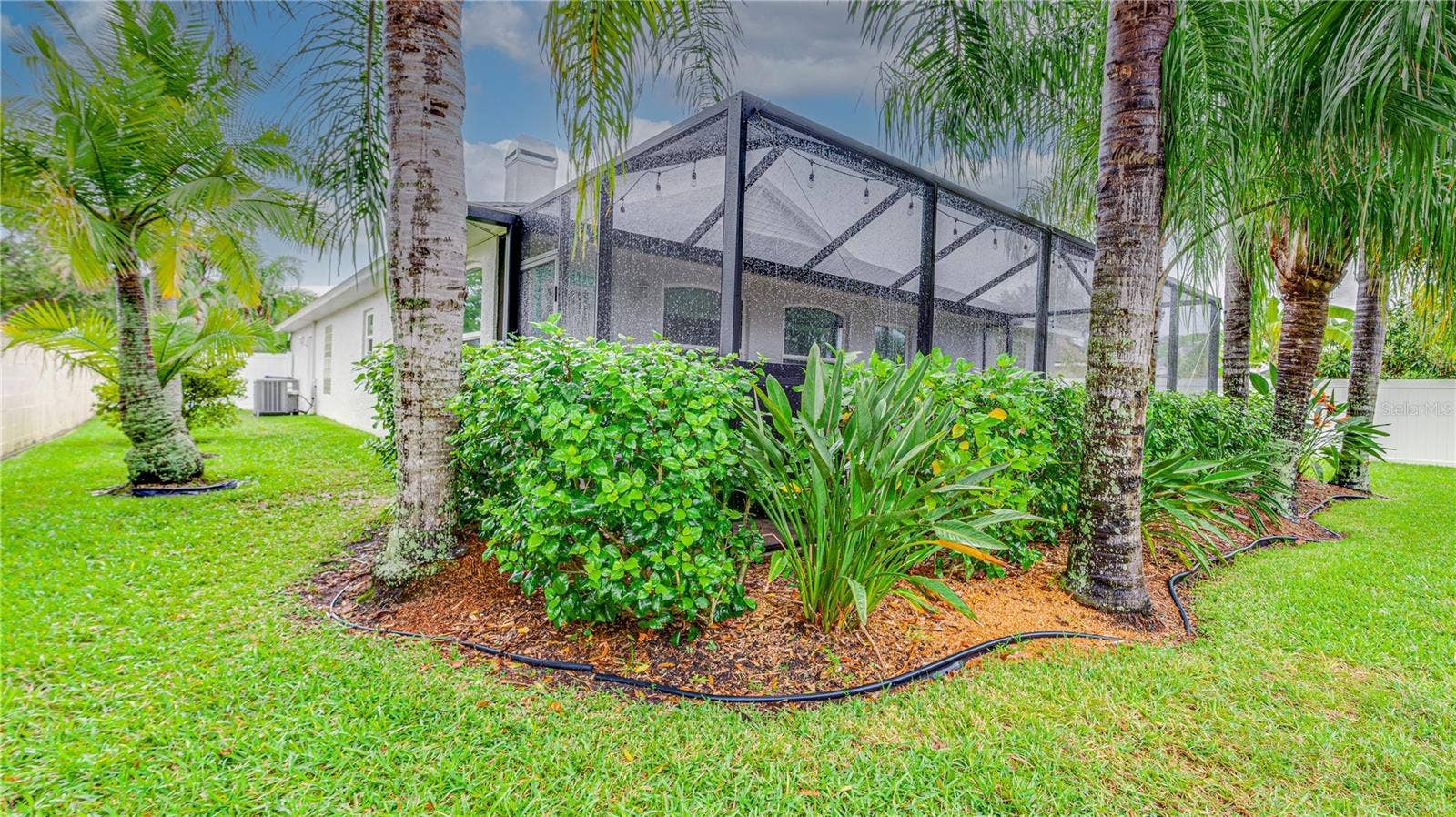 366 RAINFOREST COURT, Oldsmar, FL 34677
