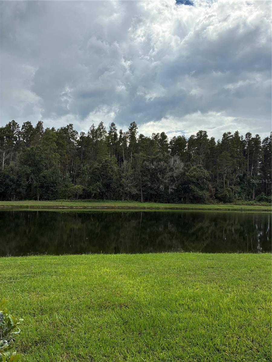 31142 FLANNERY COURT, Wesley Chapel, FL 33543 31142 FLANNERY COURT, Wesley Chapel, FL 33543
