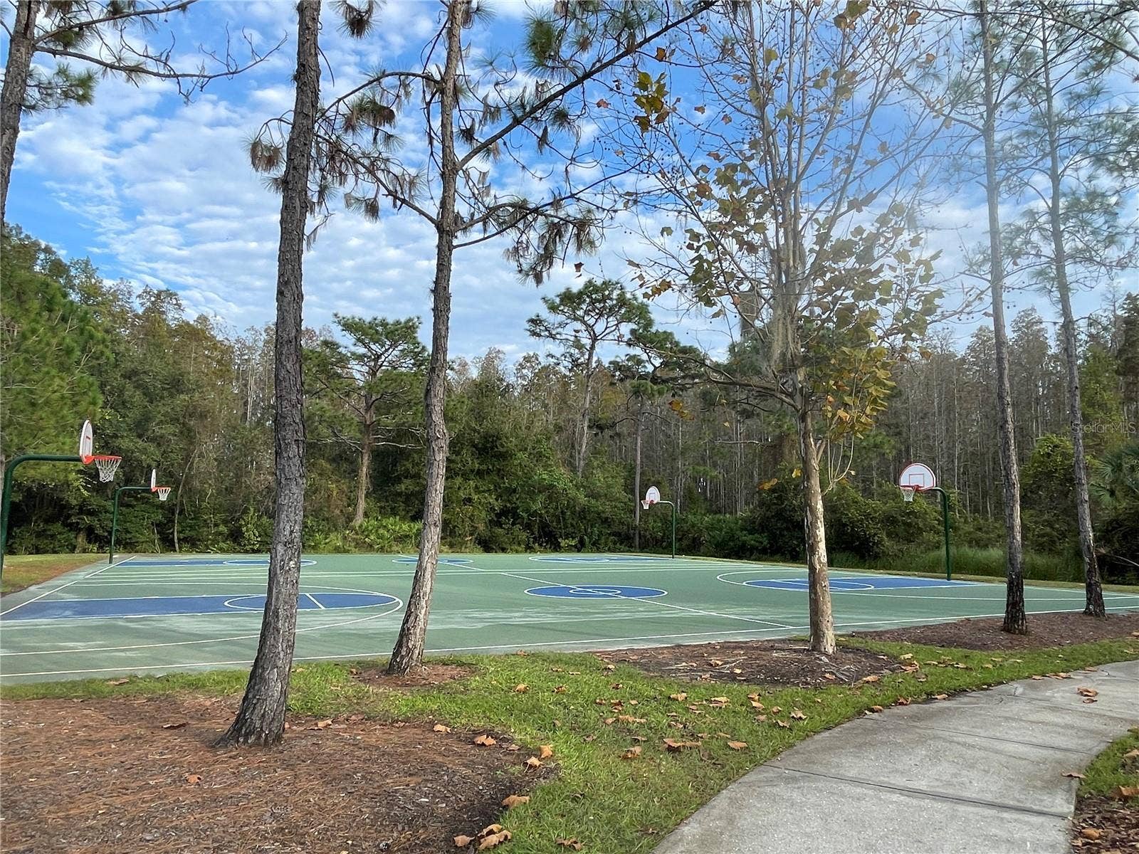 31142 FLANNERY COURT, Wesley Chapel, FL 33543 31142 FLANNERY COURT, Wesley Chapel, FL 33543