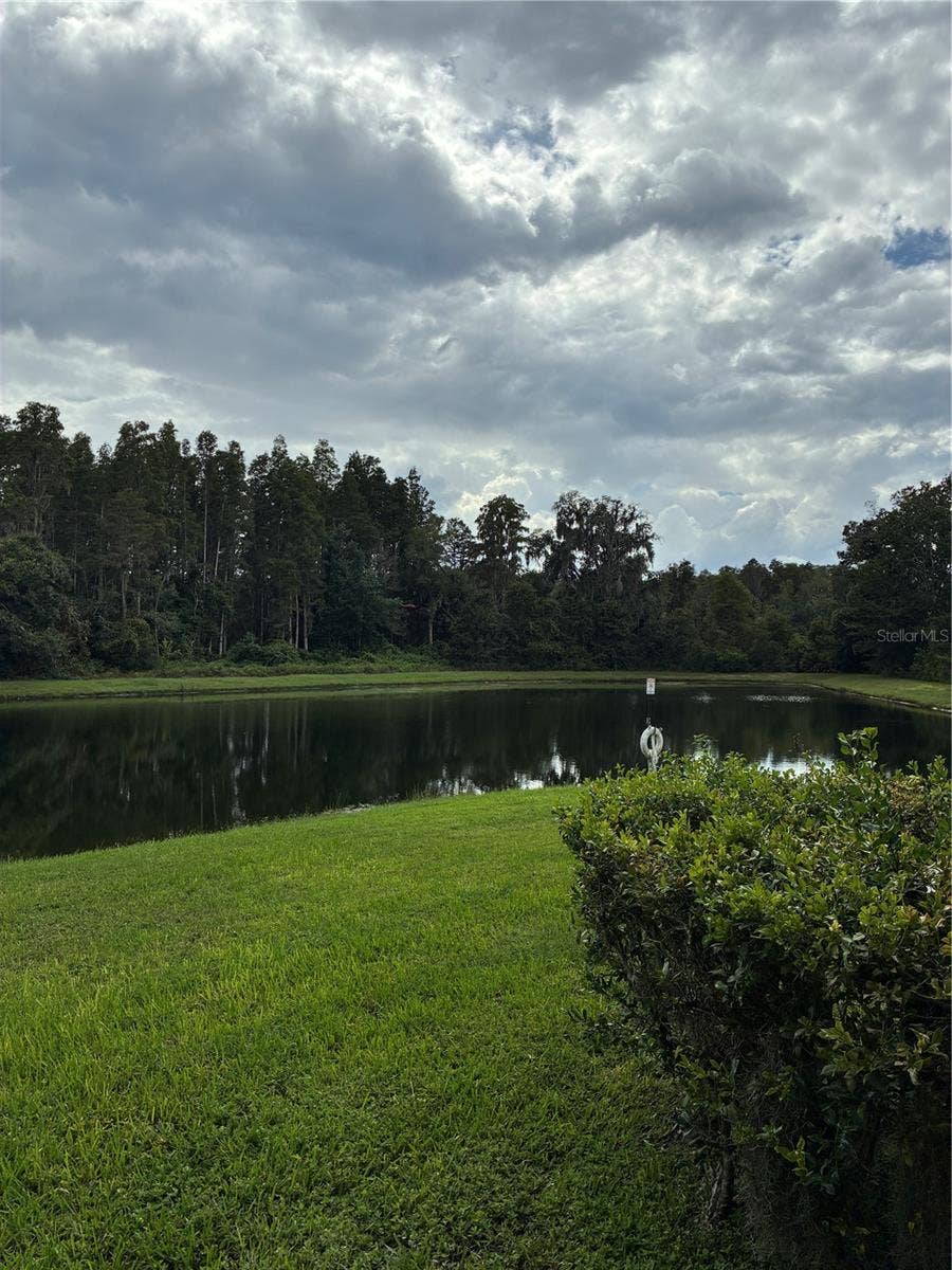 31142 FLANNERY COURT, Wesley Chapel, FL 33543 31142 FLANNERY COURT, Wesley Chapel, FL 33543